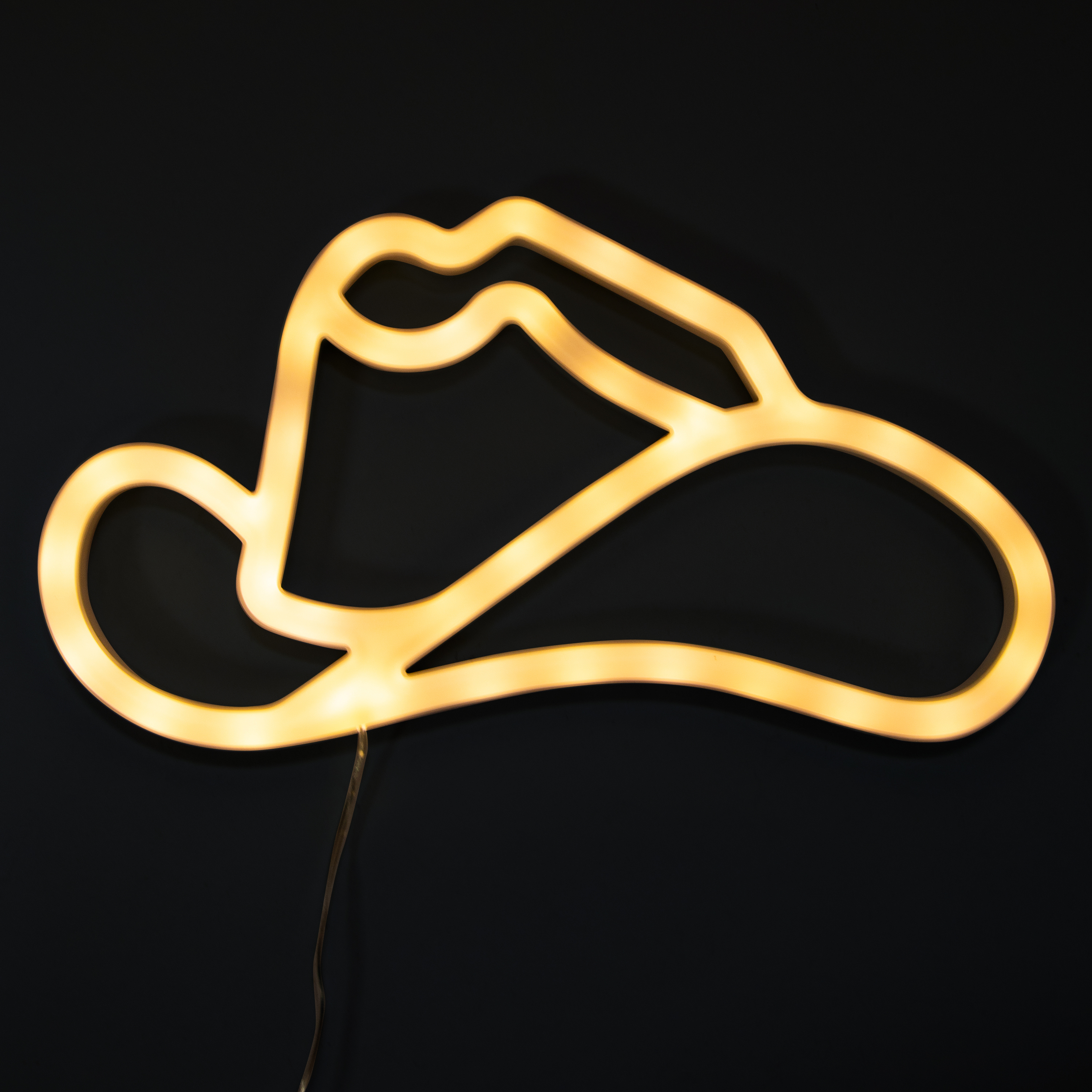 Cowboy Hat LED Wall Light 9.9in x 5.5in