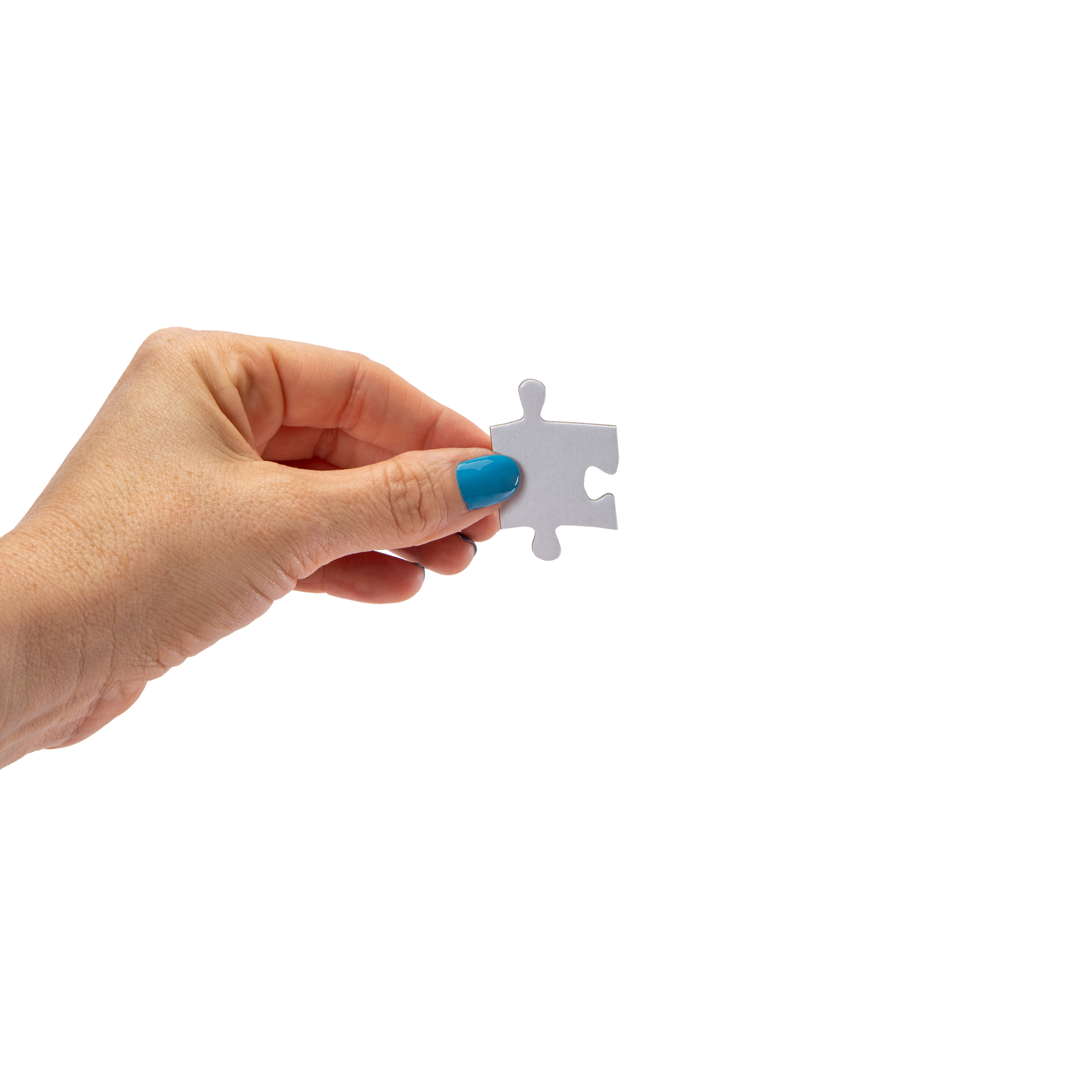 Philadelphia Skyline Jigsaw Puzzle