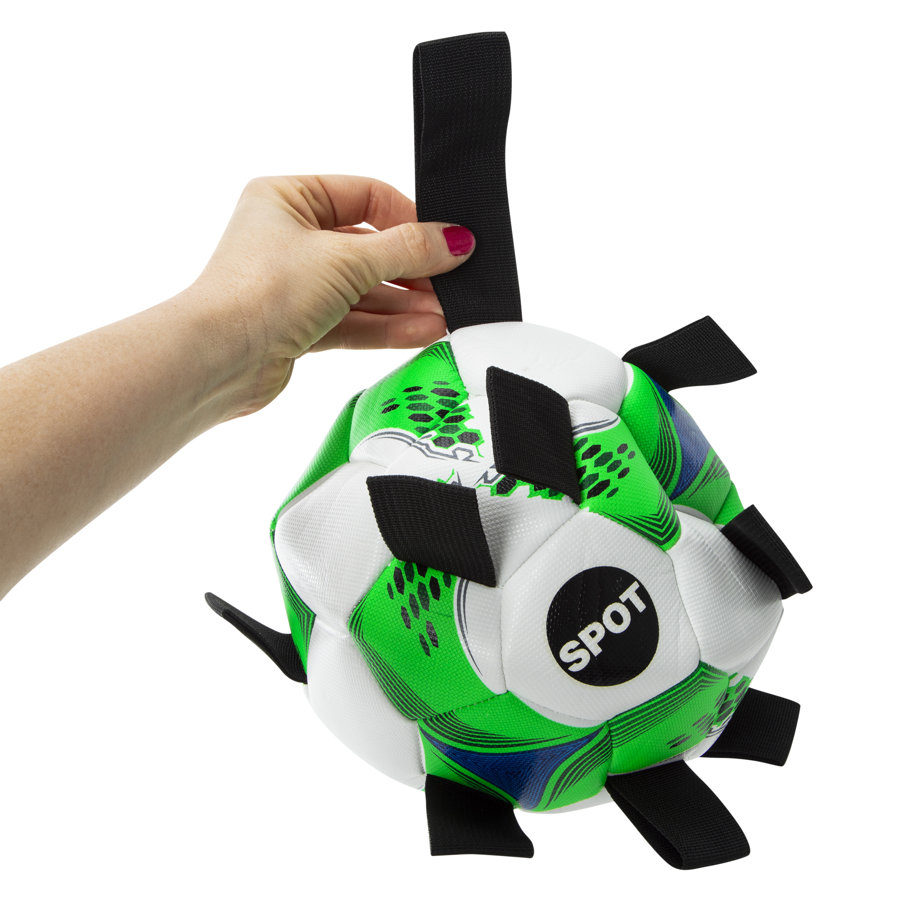Tabby Pet Soccer Ball 8in