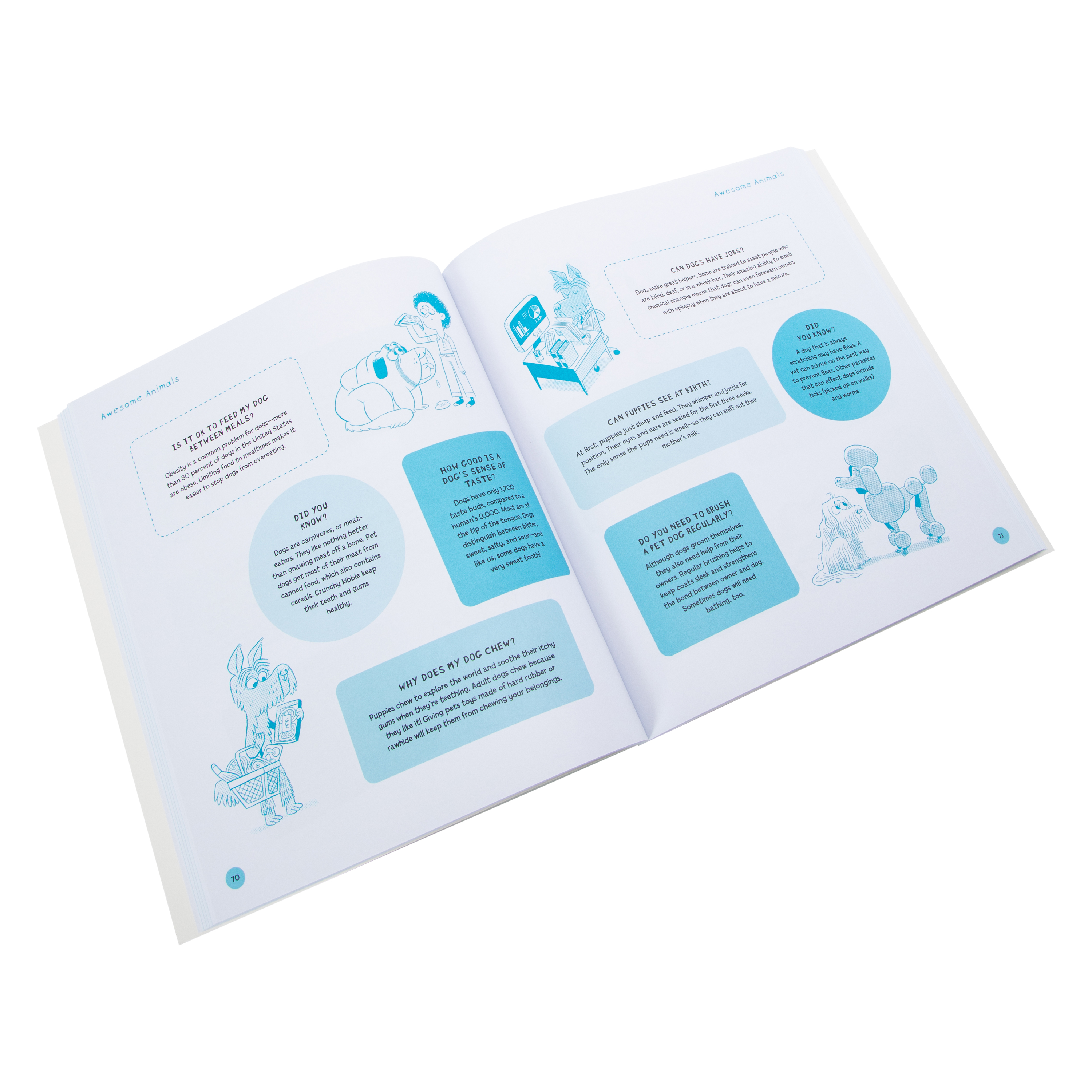 647 Really Weird Facts That Will Boggle Your Brain