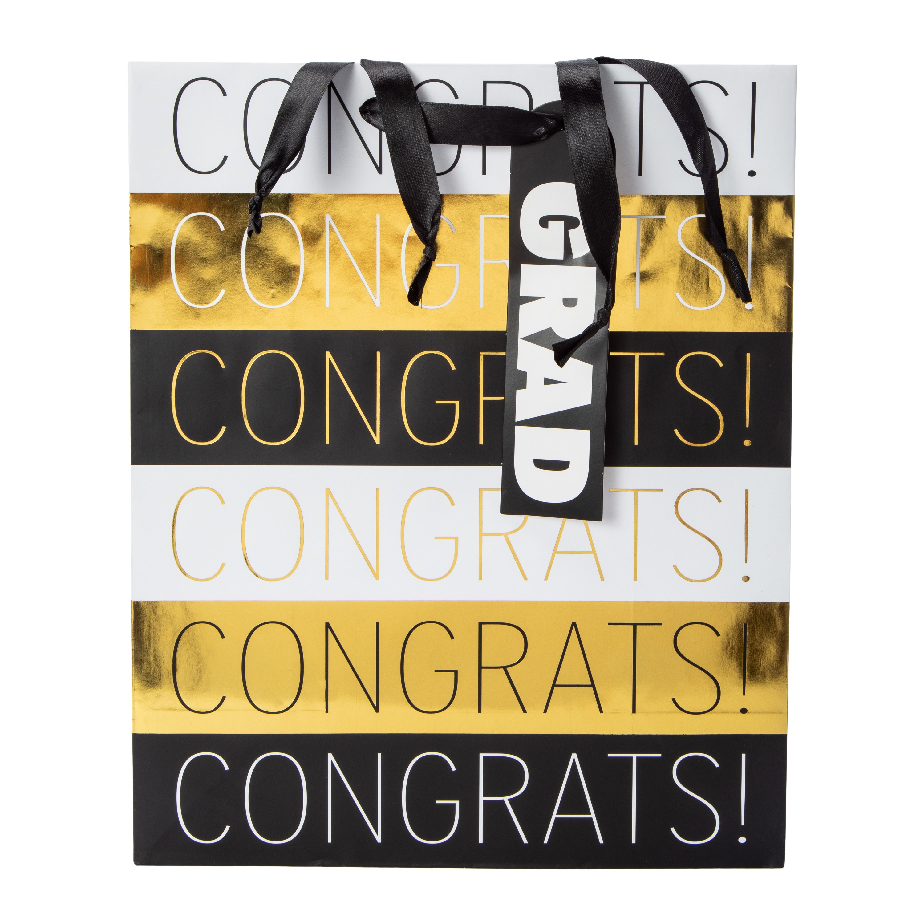 Graduation Gift Bag 10in x 12.75in