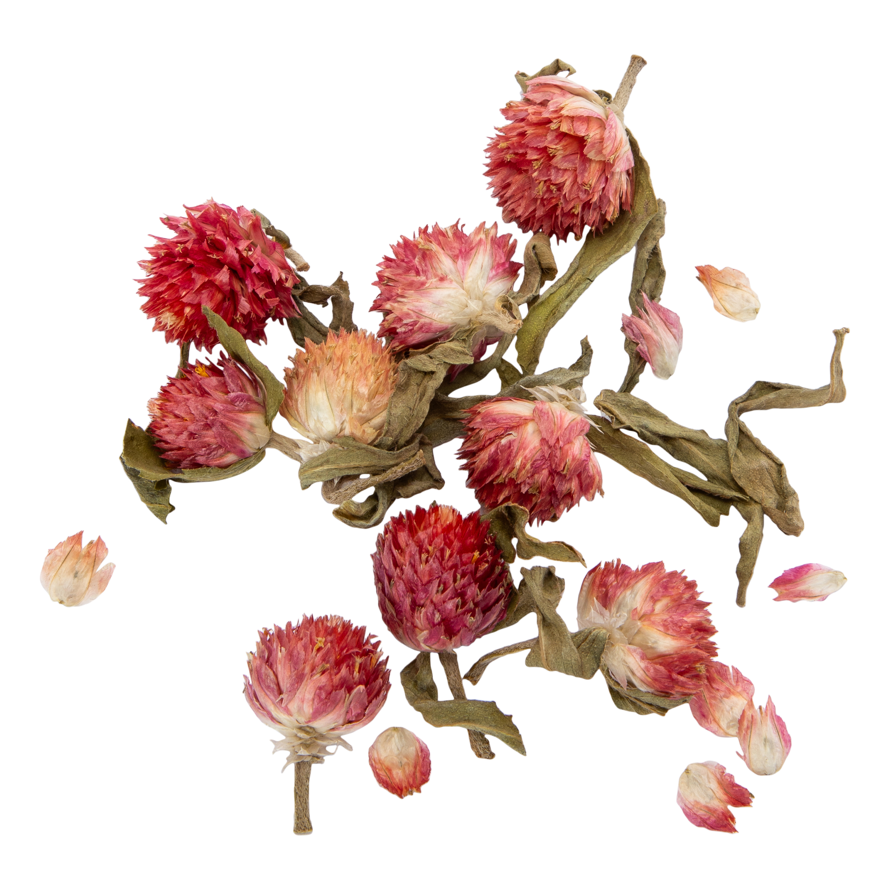 Spiritual Provisions® Dried Herbs 10g