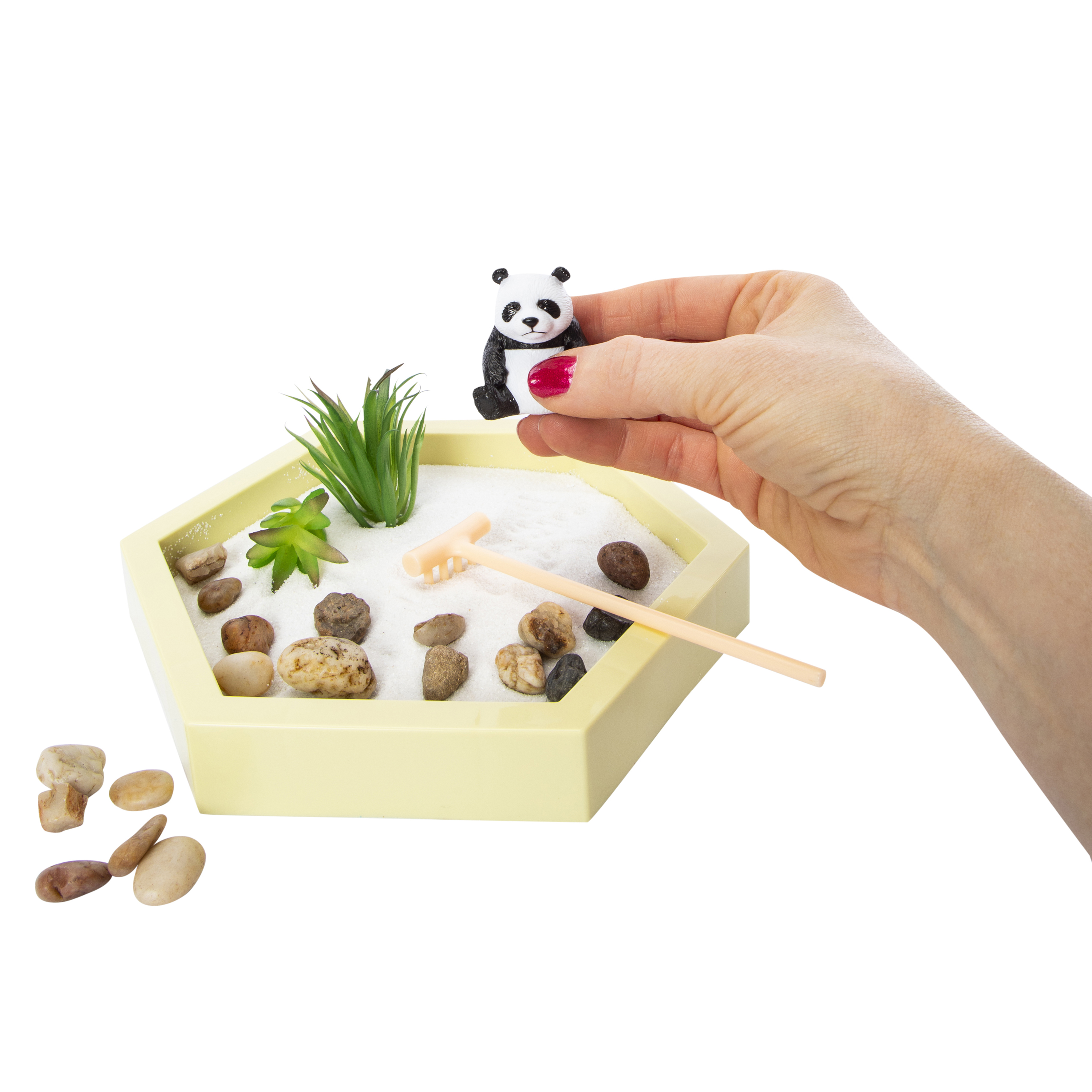 Panda Zen Garden 7in x 8in