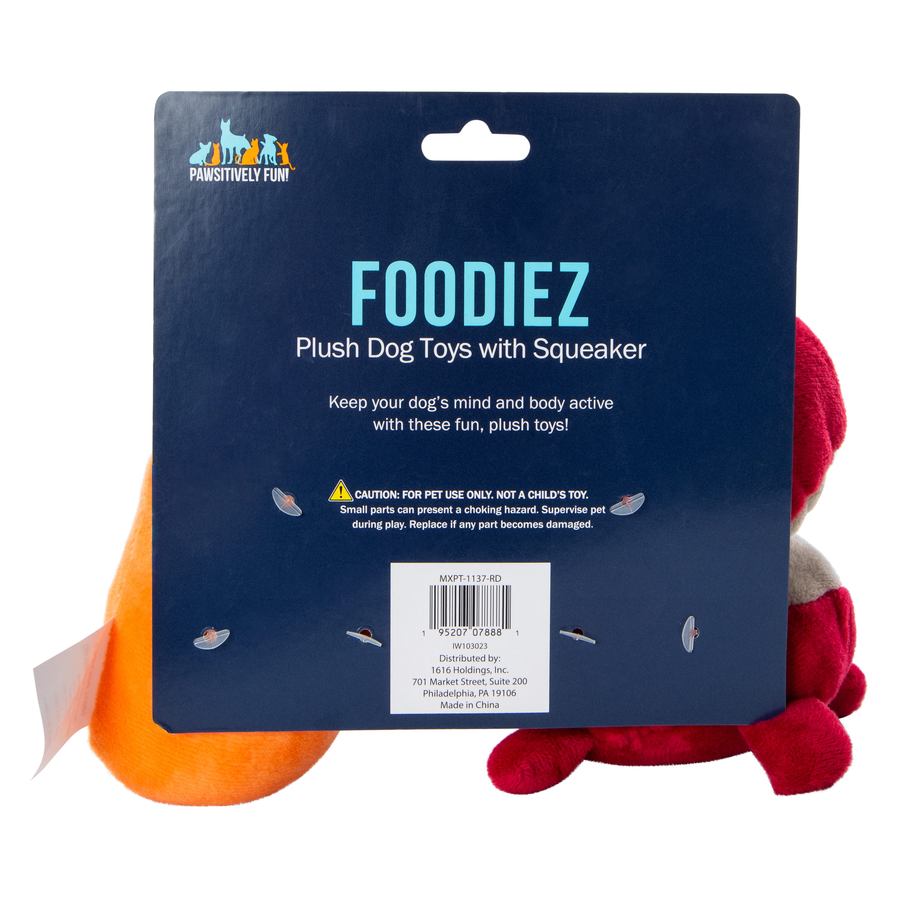 Foodiez Plush Dog Toys With Squeaker 2-Count
