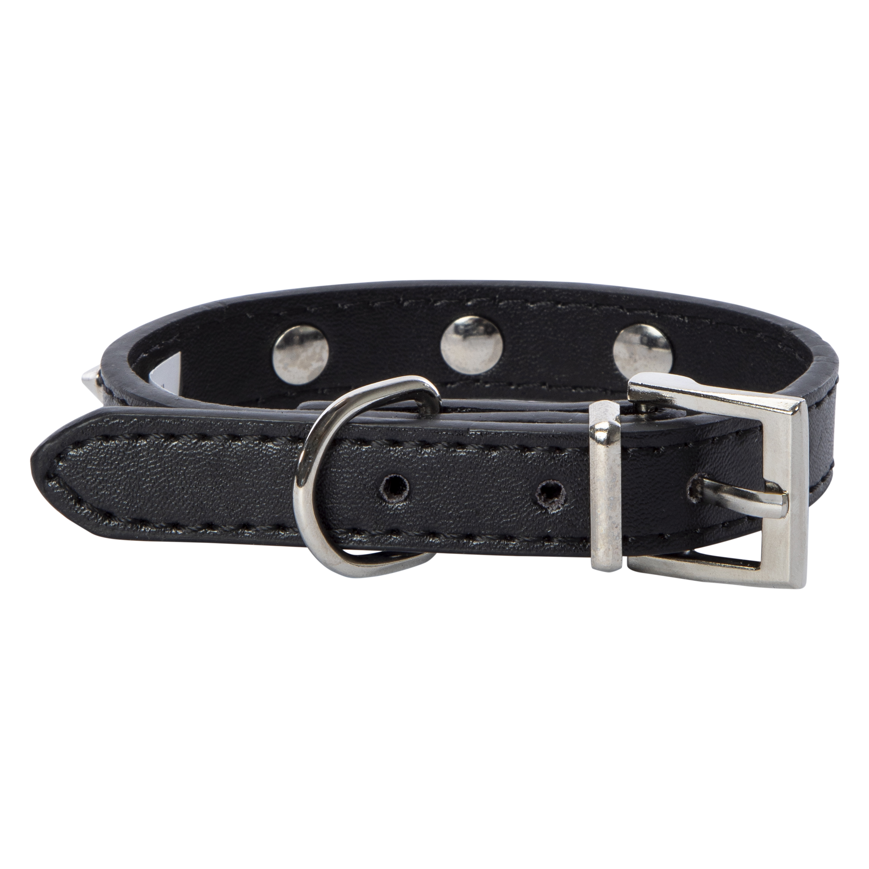 Spike Dog Collar