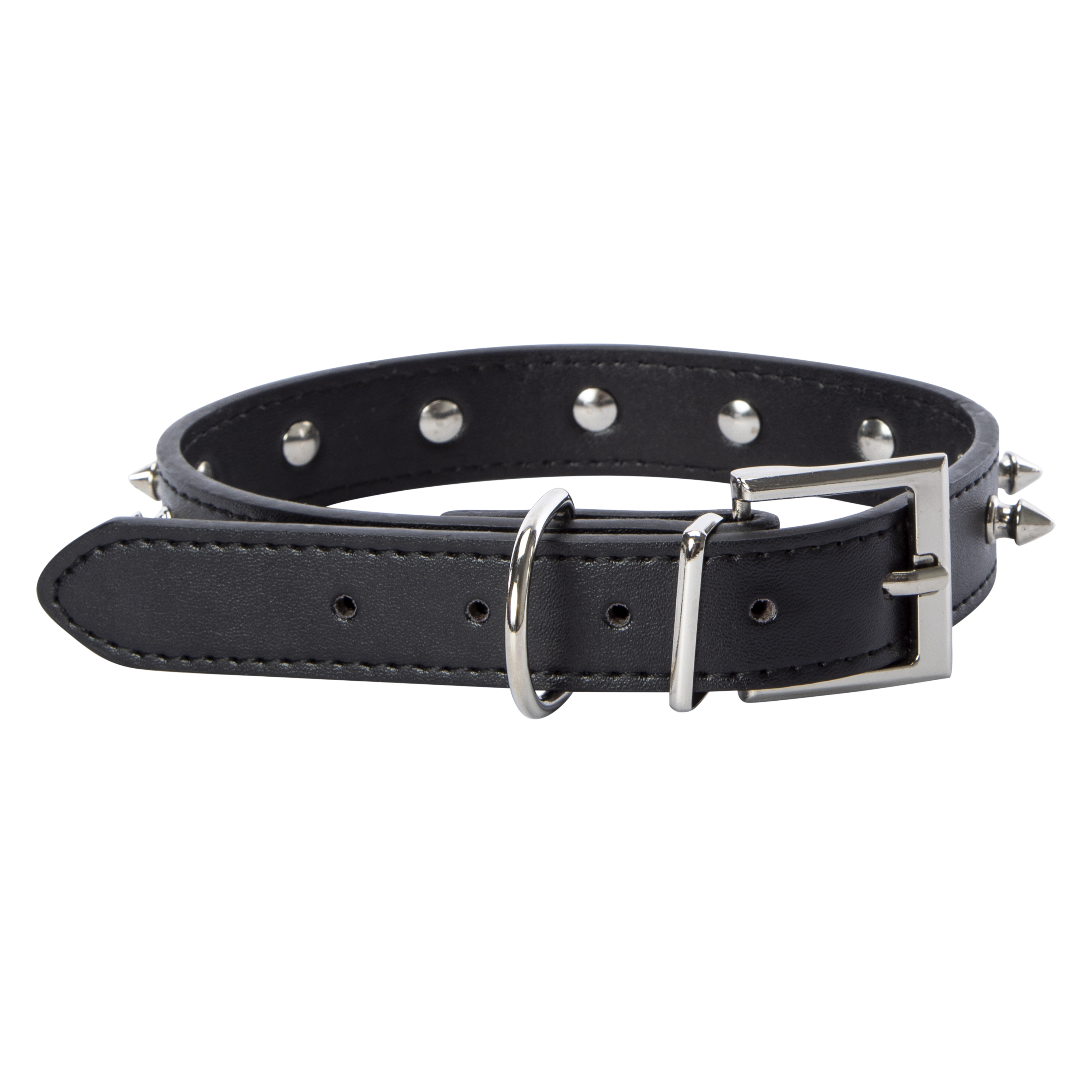 Spike Dog Collar
