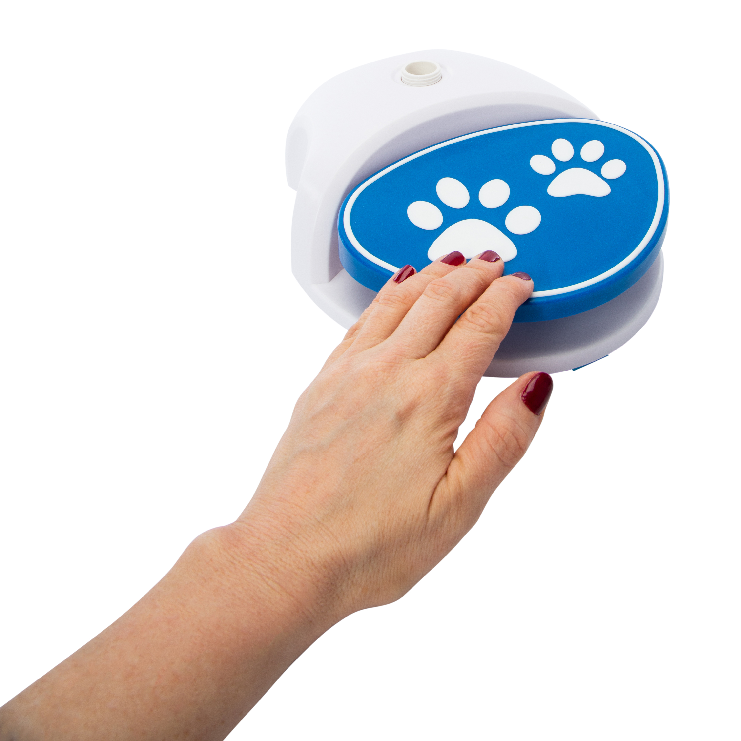 Hydrating Pet Sprinkler Water Fountain 10.5in x 8.5in