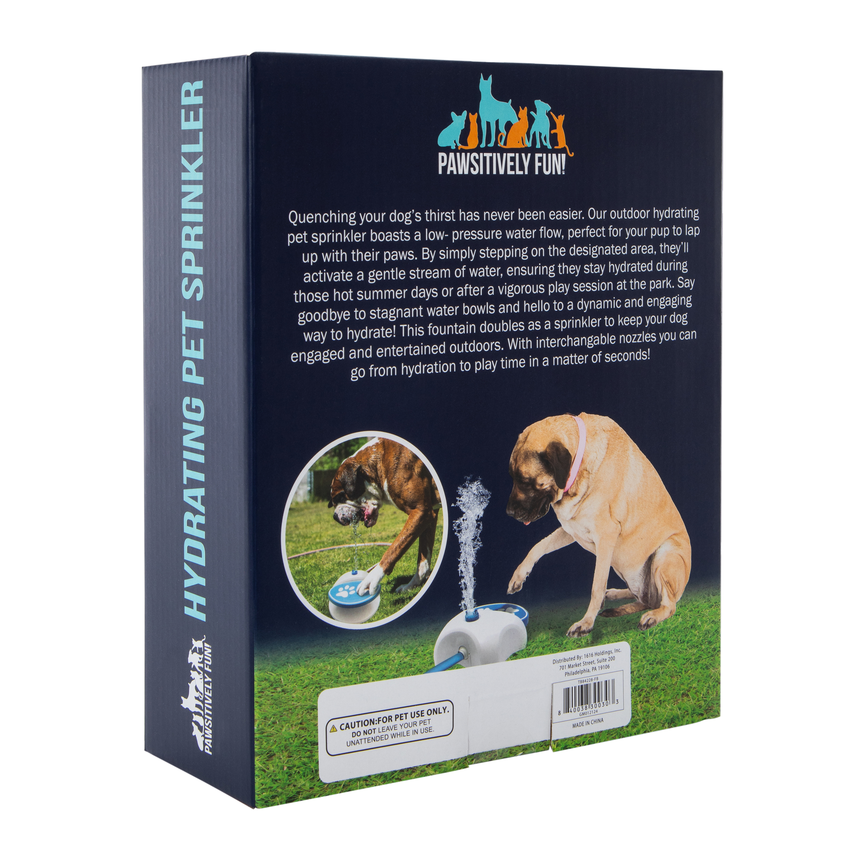 Hydrating Pet Sprinkler Water Fountain 10.5in x 8.5in