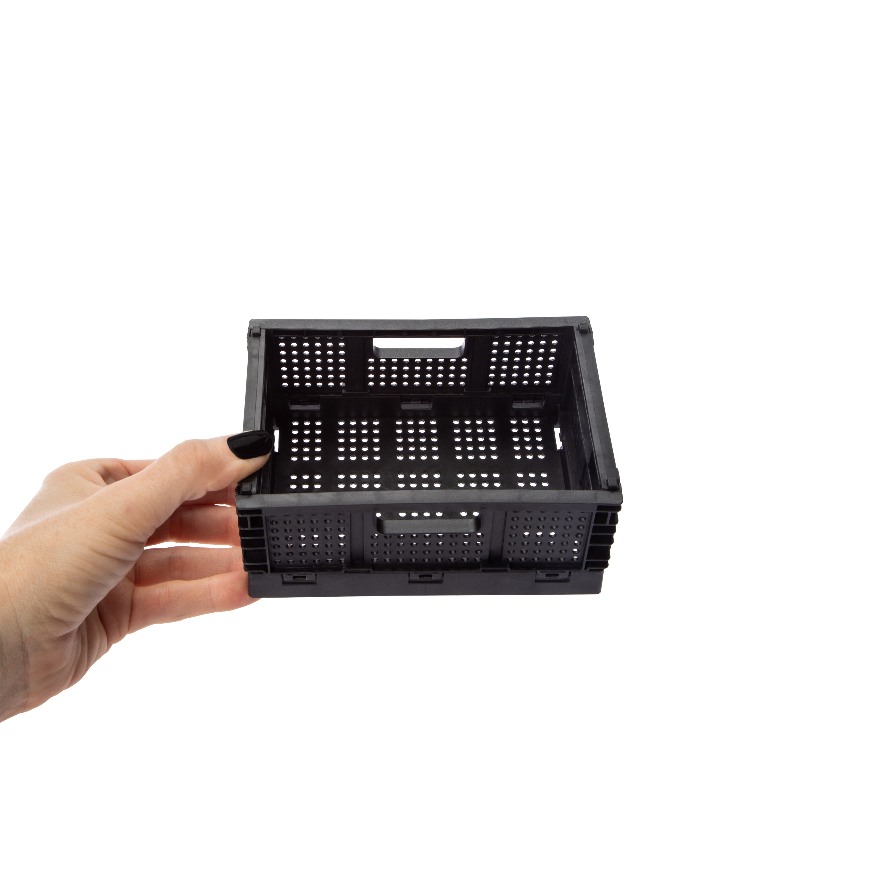 XS Collapsible Crate 5.51in x 3.85in