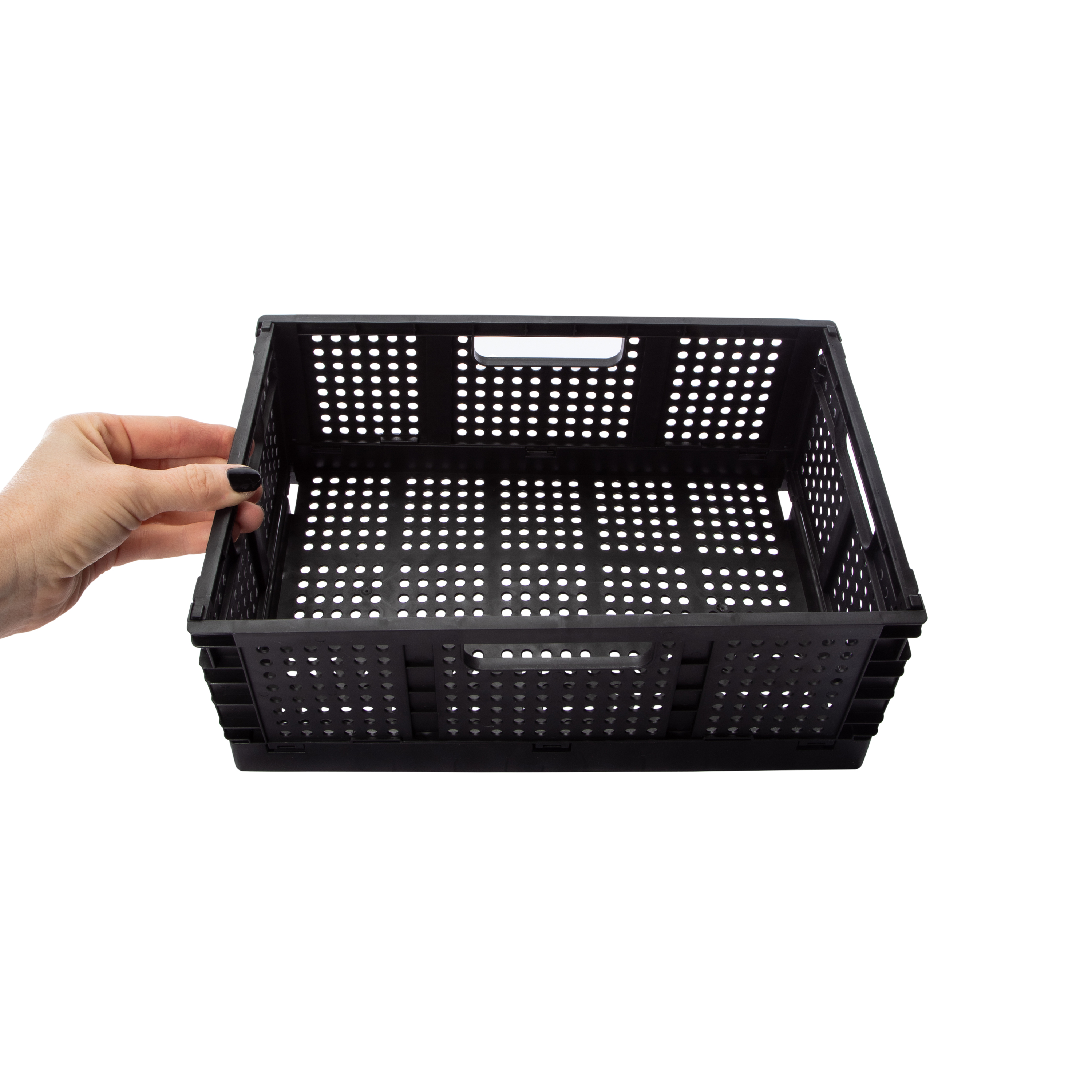 Medium Collapsible Crate 12in x 7.79in