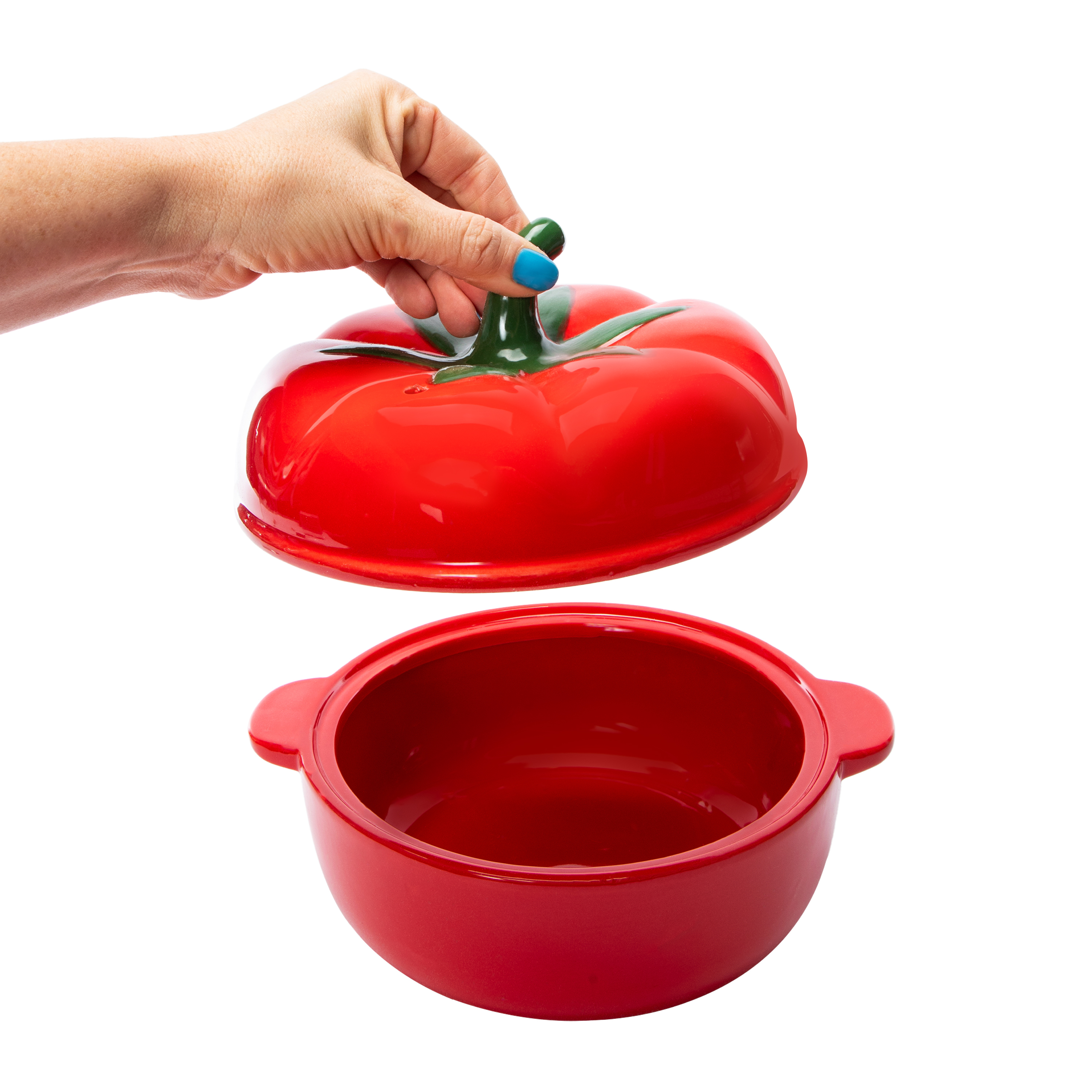 Ceramic Dumpling Pot  Cookware With Lid 10in