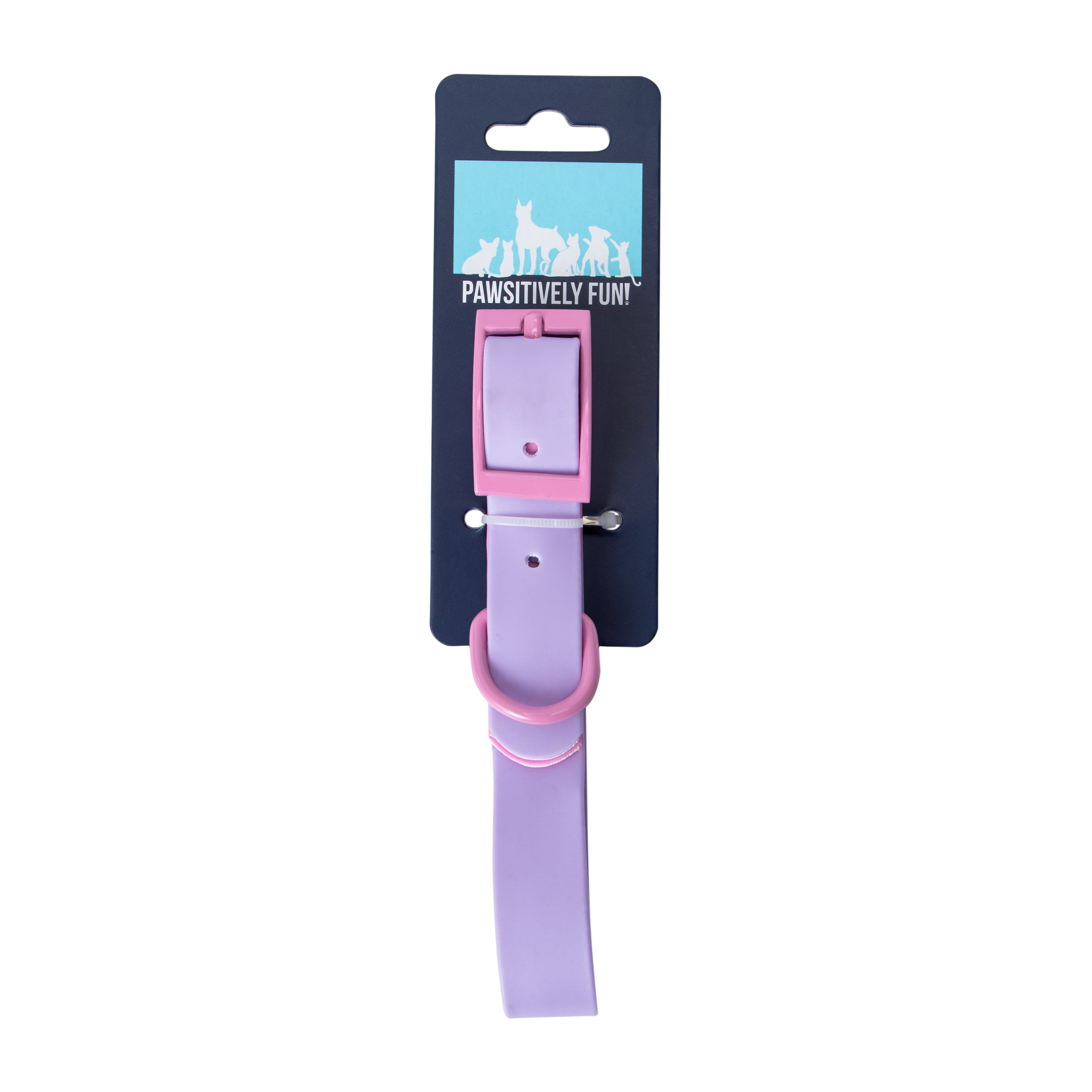 Pawsitively Fun! Pet Collar