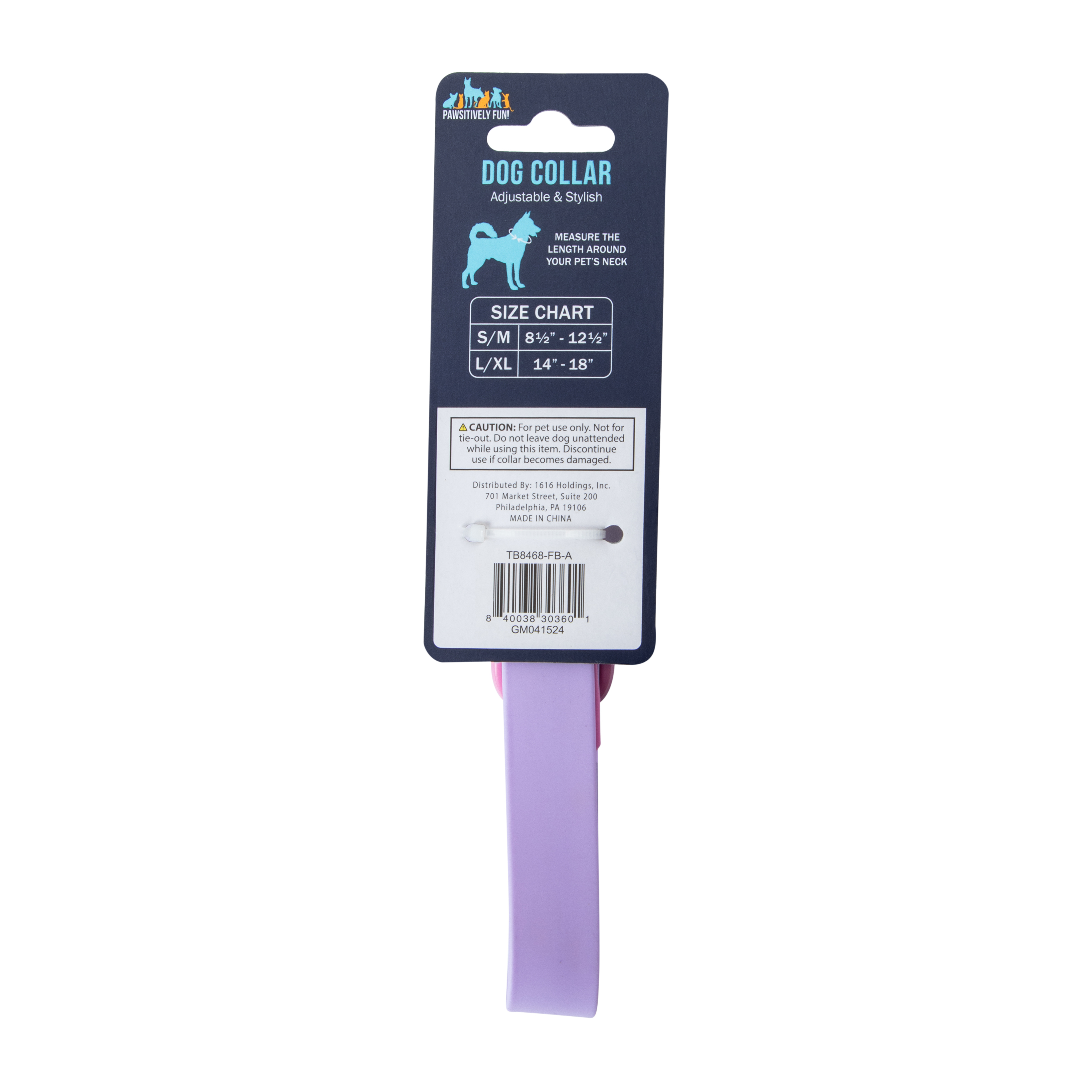 Pawsitively Fun! Pet Collar