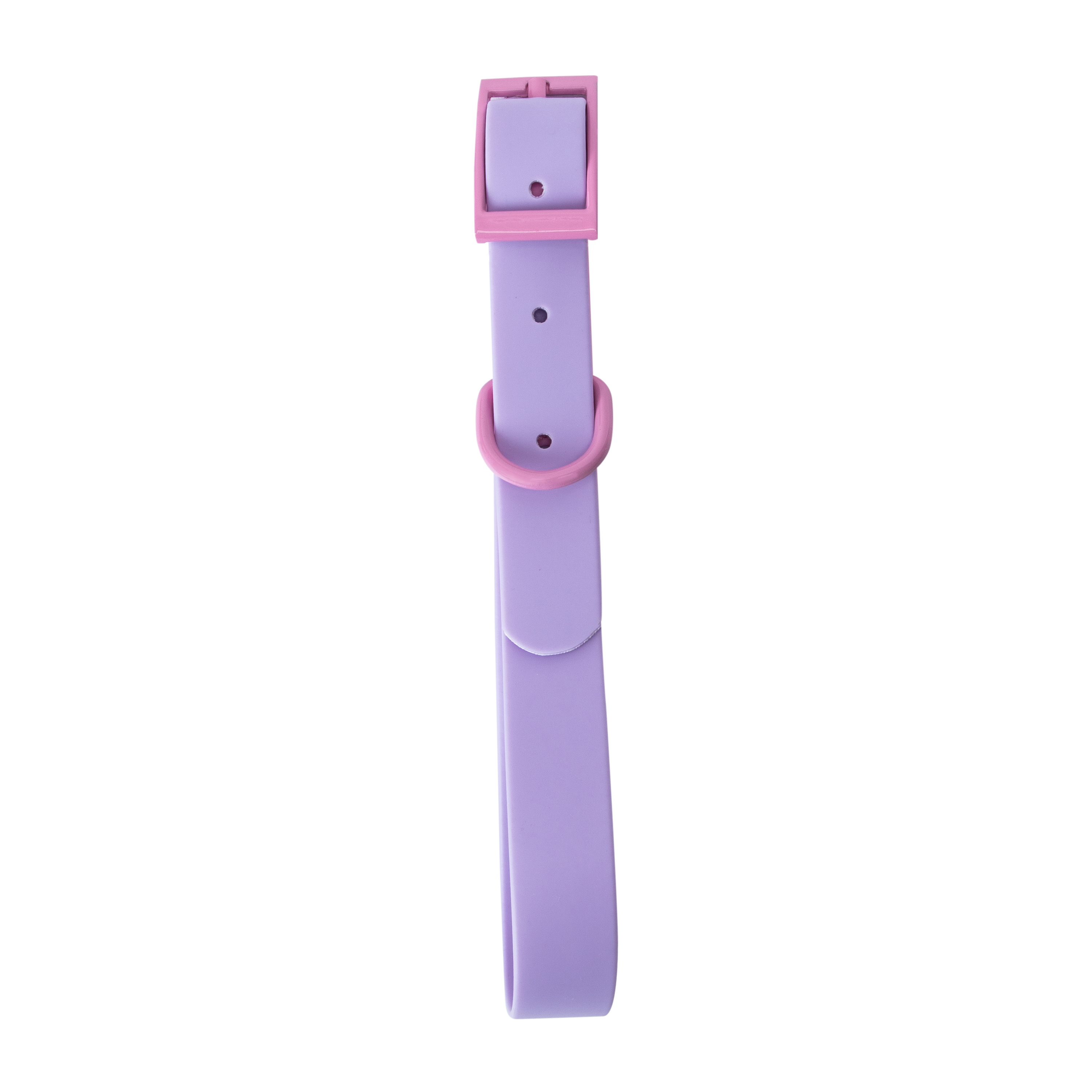 Pawsitively Fun! Pet Collar