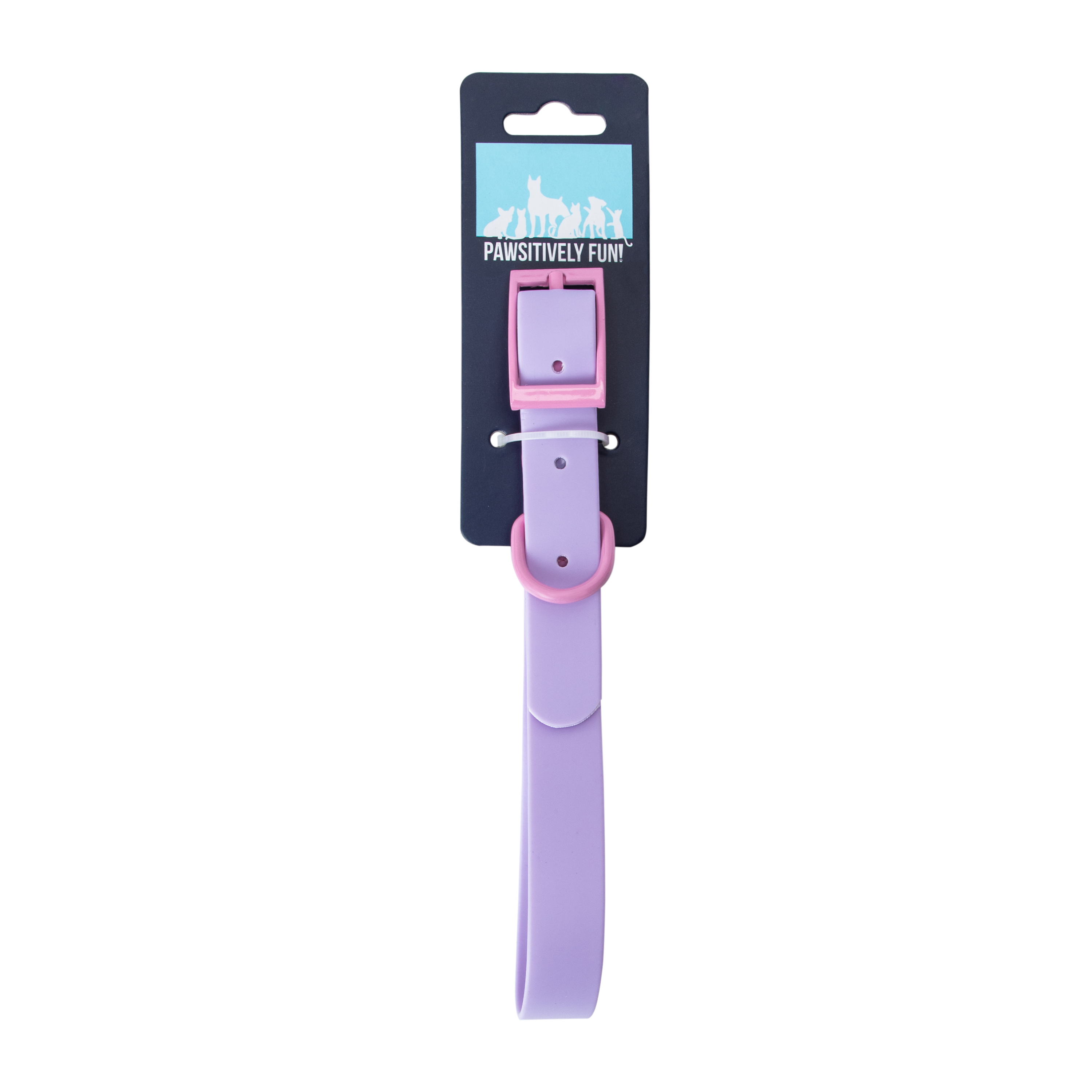 Pawsitively Fun! Pet Collar