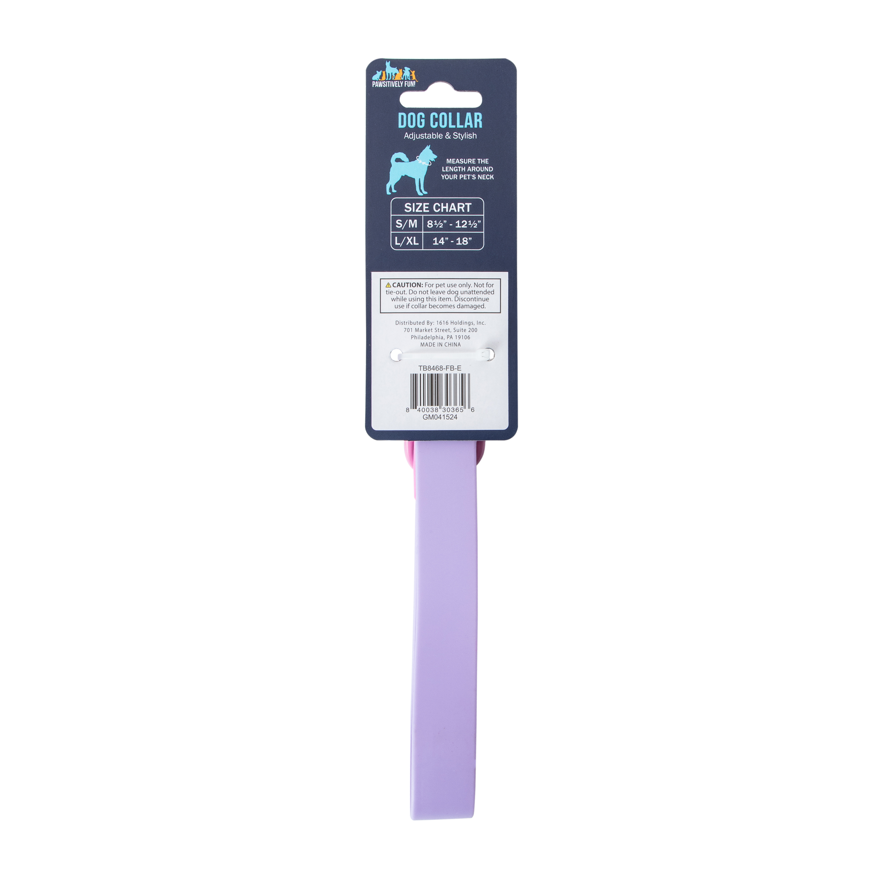 Pawsitively Fun! Pet Collar