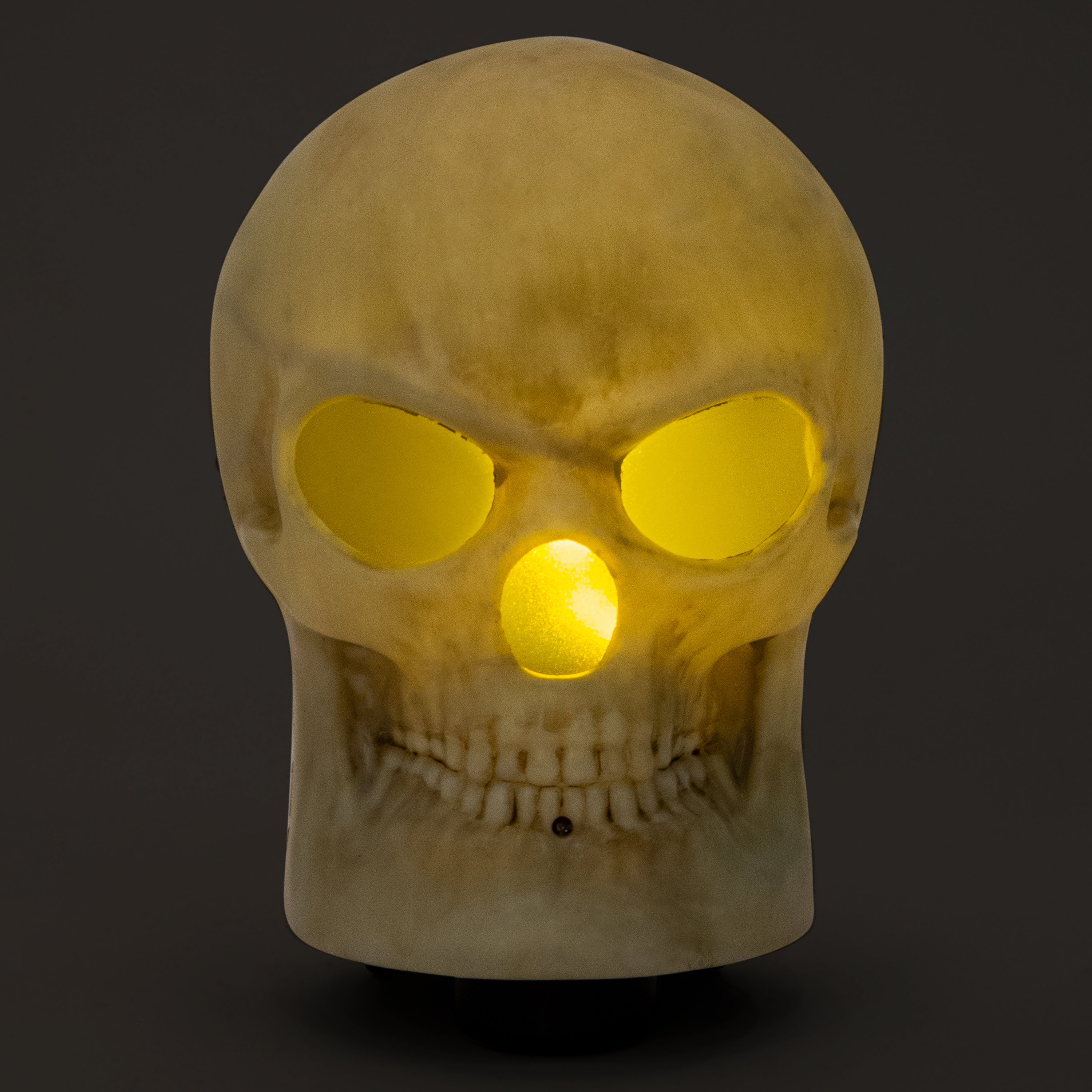 Moving Screaming Skull Halloween Decor