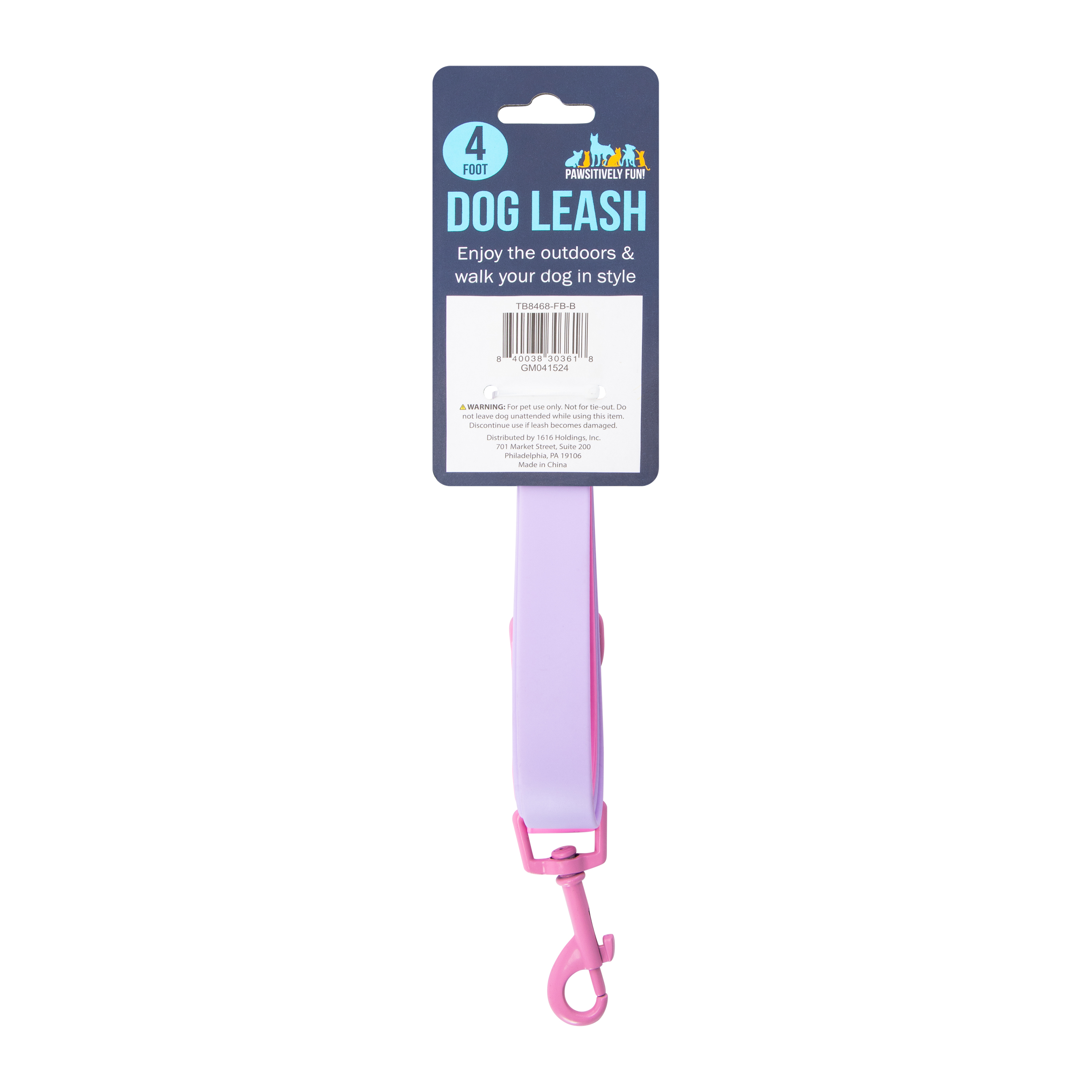 Two-Tone Silicone Dog Leash 4ft