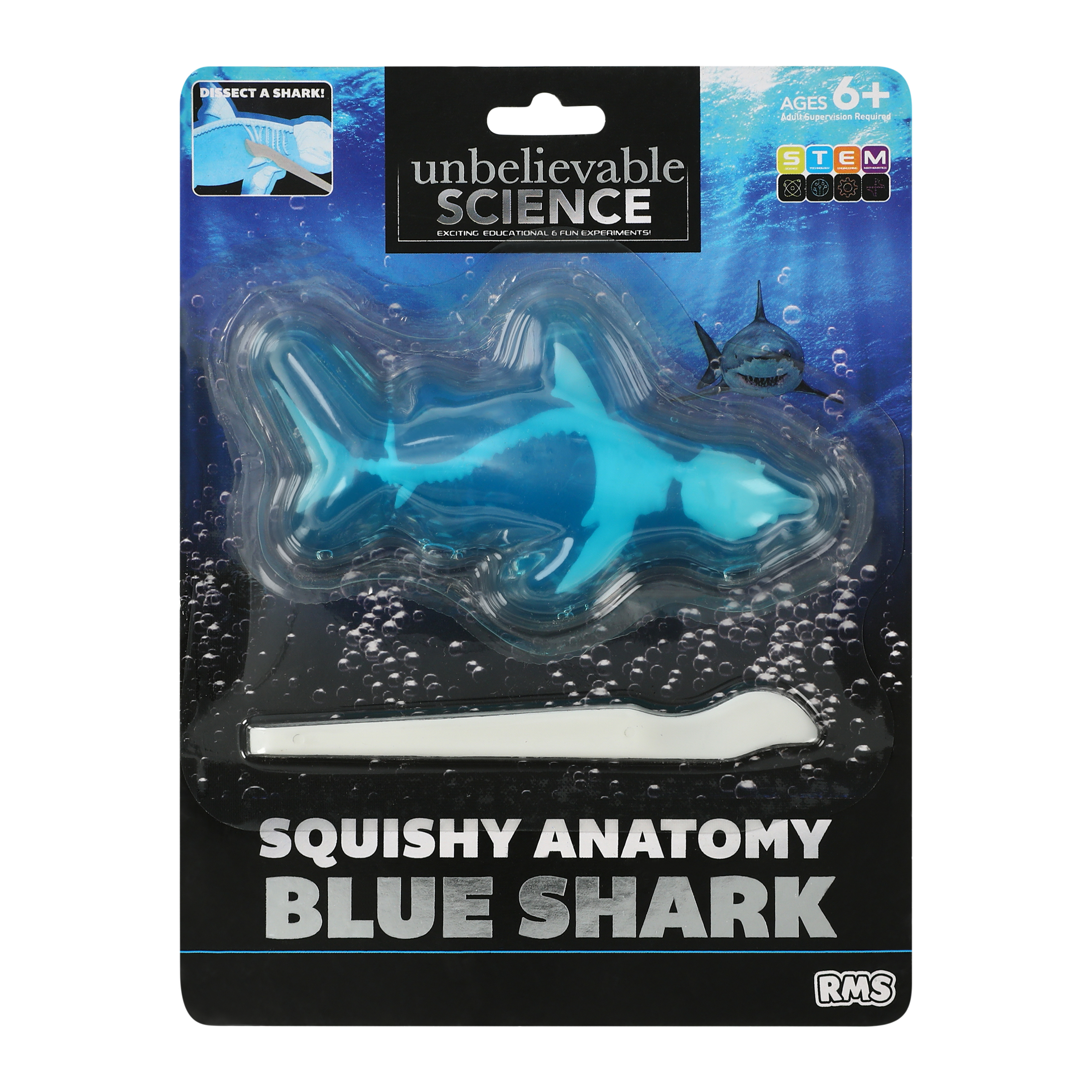 Unbelievable Science Squishy Anatomy