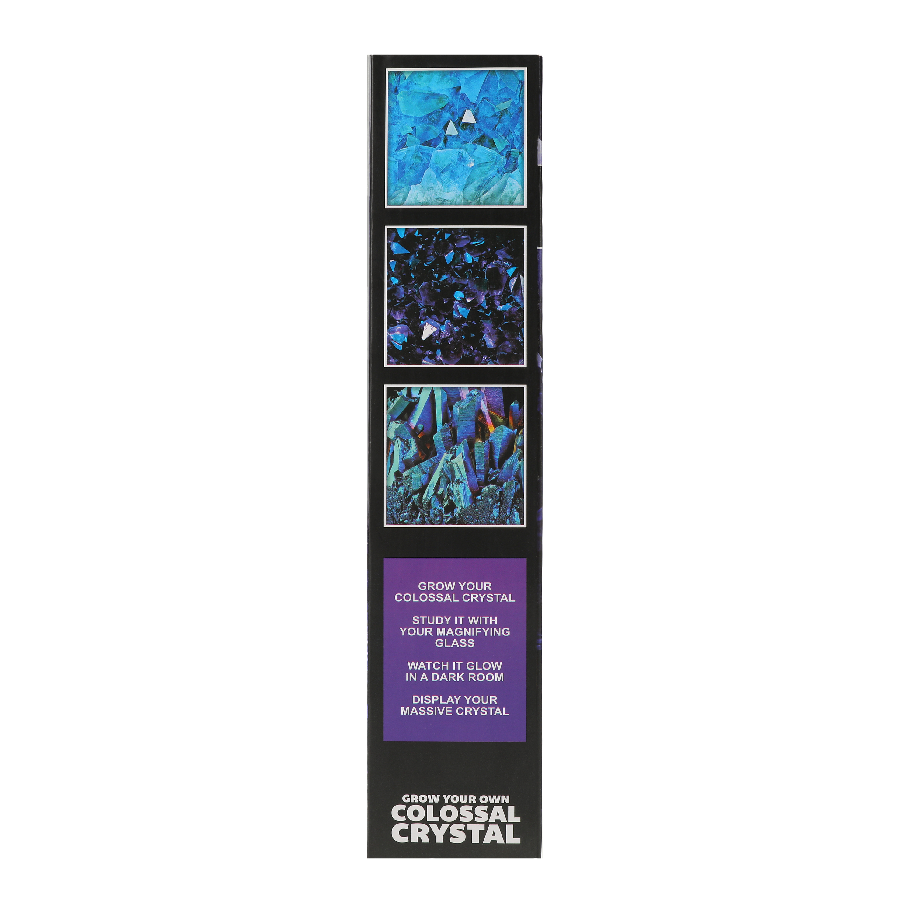 Unbelievable Science Grow Your Own Colossal Crystal