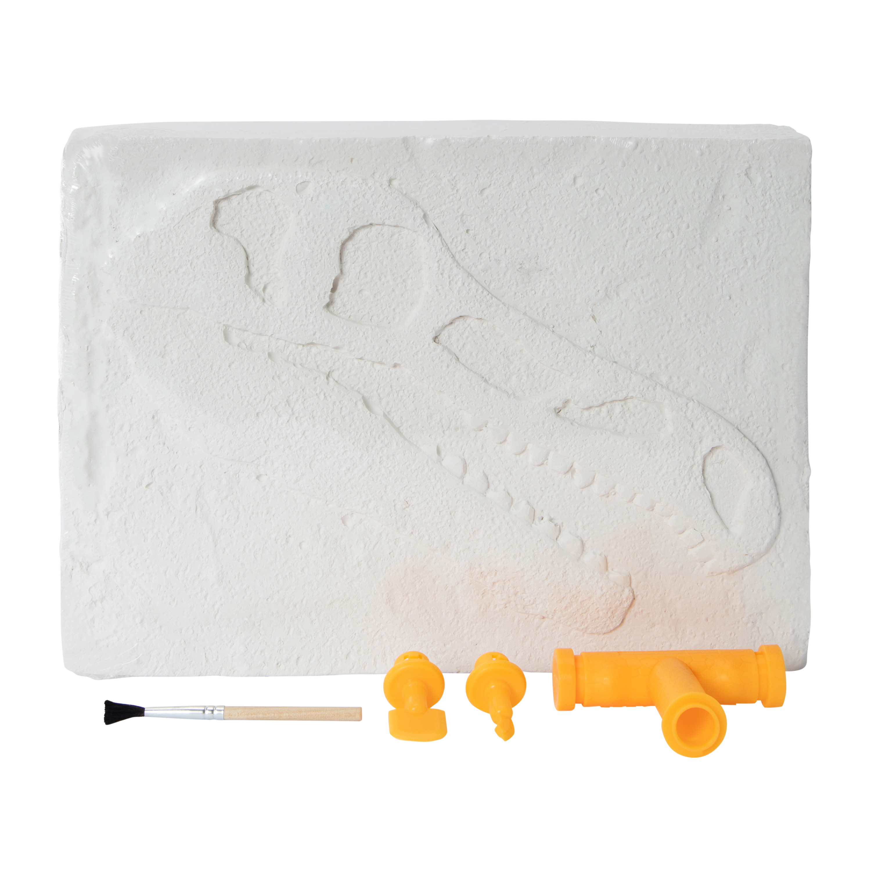 Dig Team® T-Rex Skeleton Dig Set