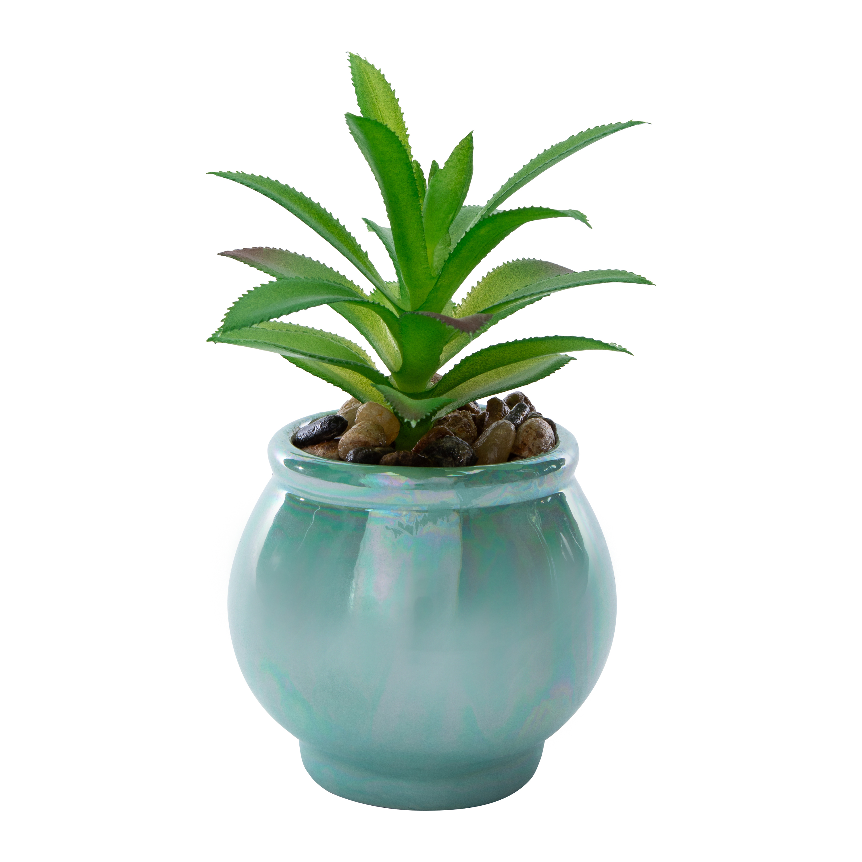 Skull Faux Succulent