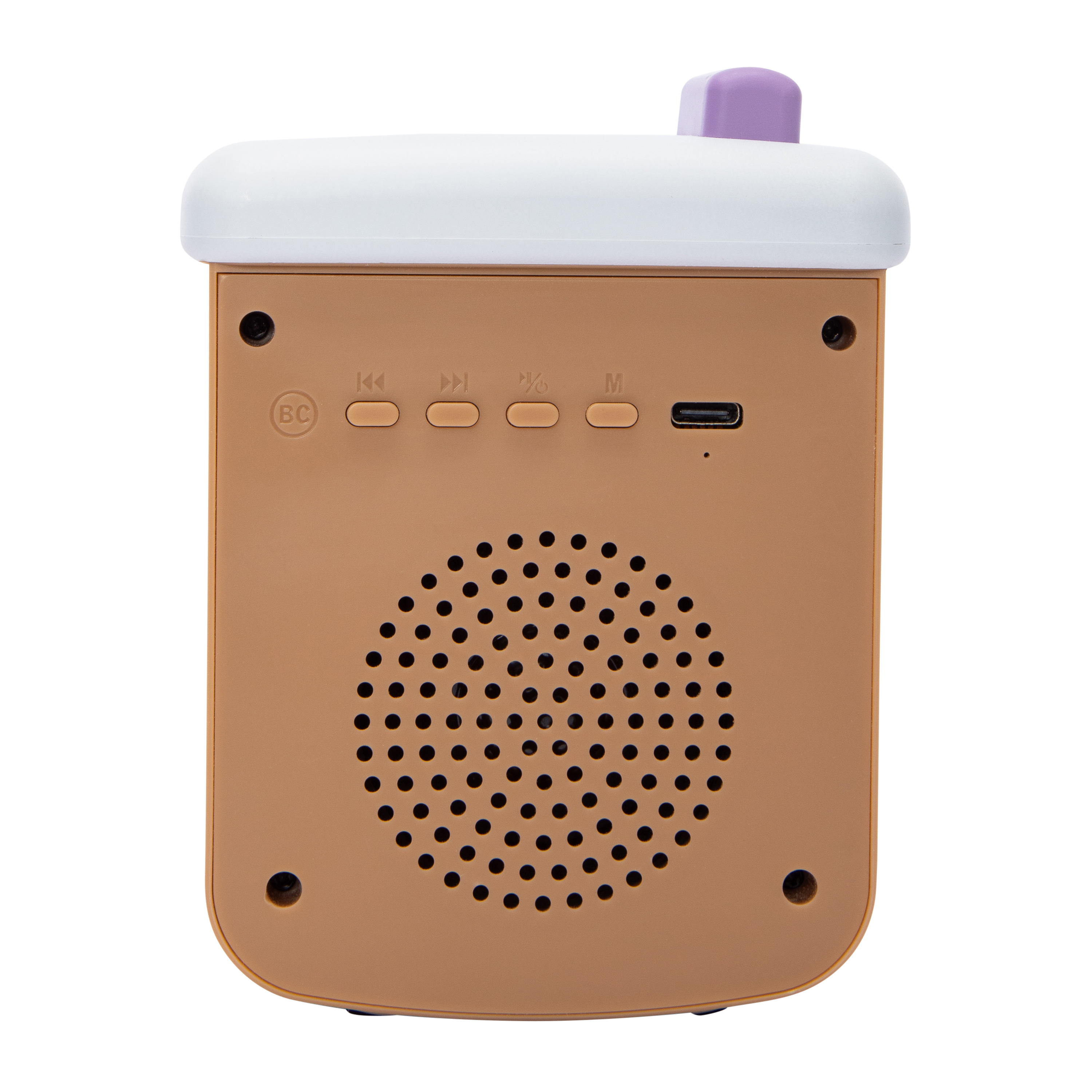 Molded Speaker