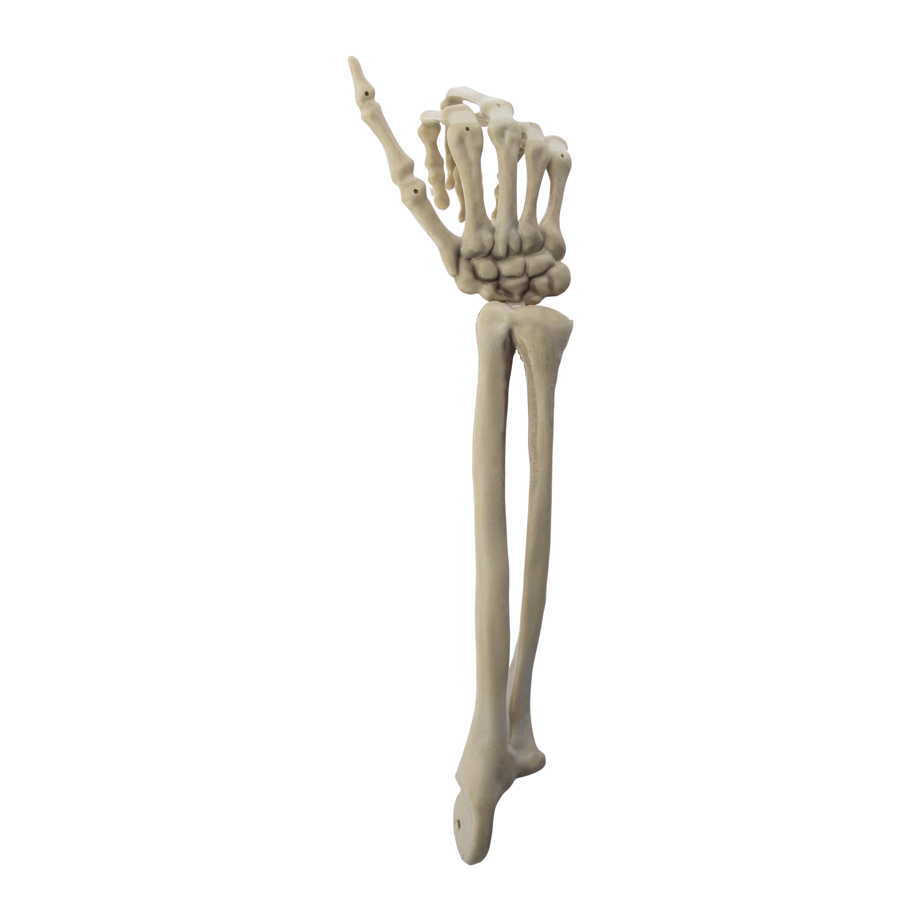 Halloween Skeleton Bone Decor