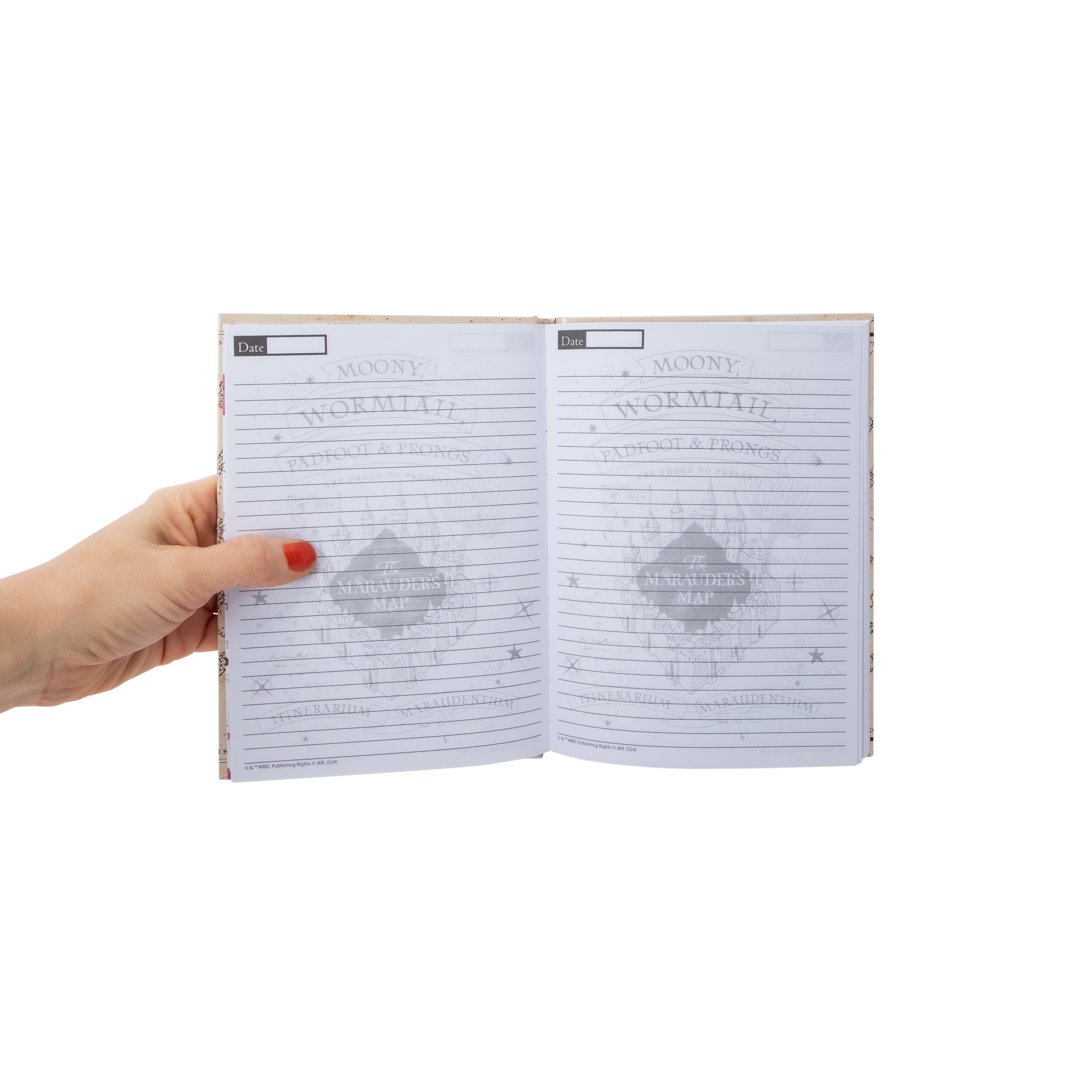 Harry Potter™ Light Up Diary Set