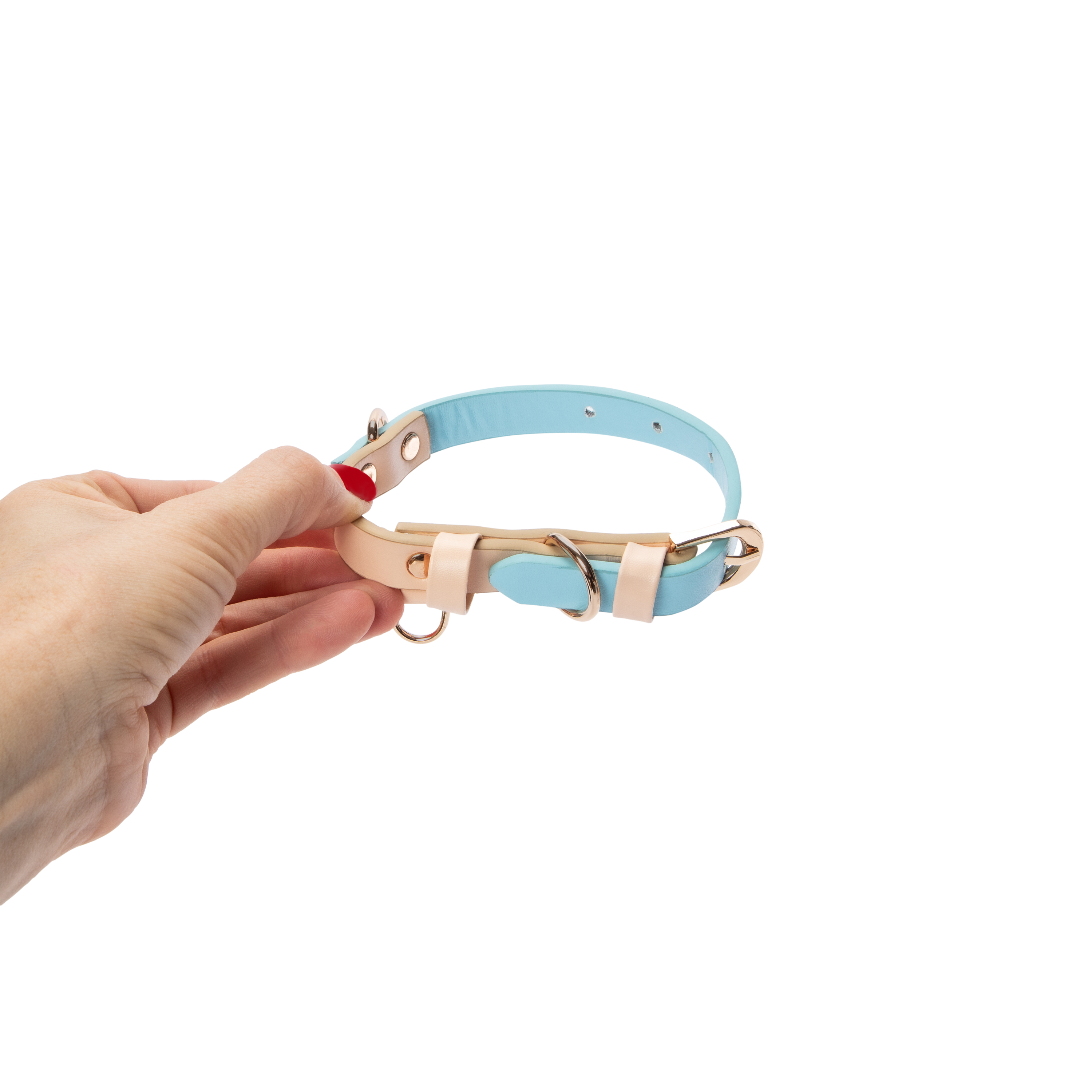 Pawsitively Fun! 2-Tone Pet Collar - Medium