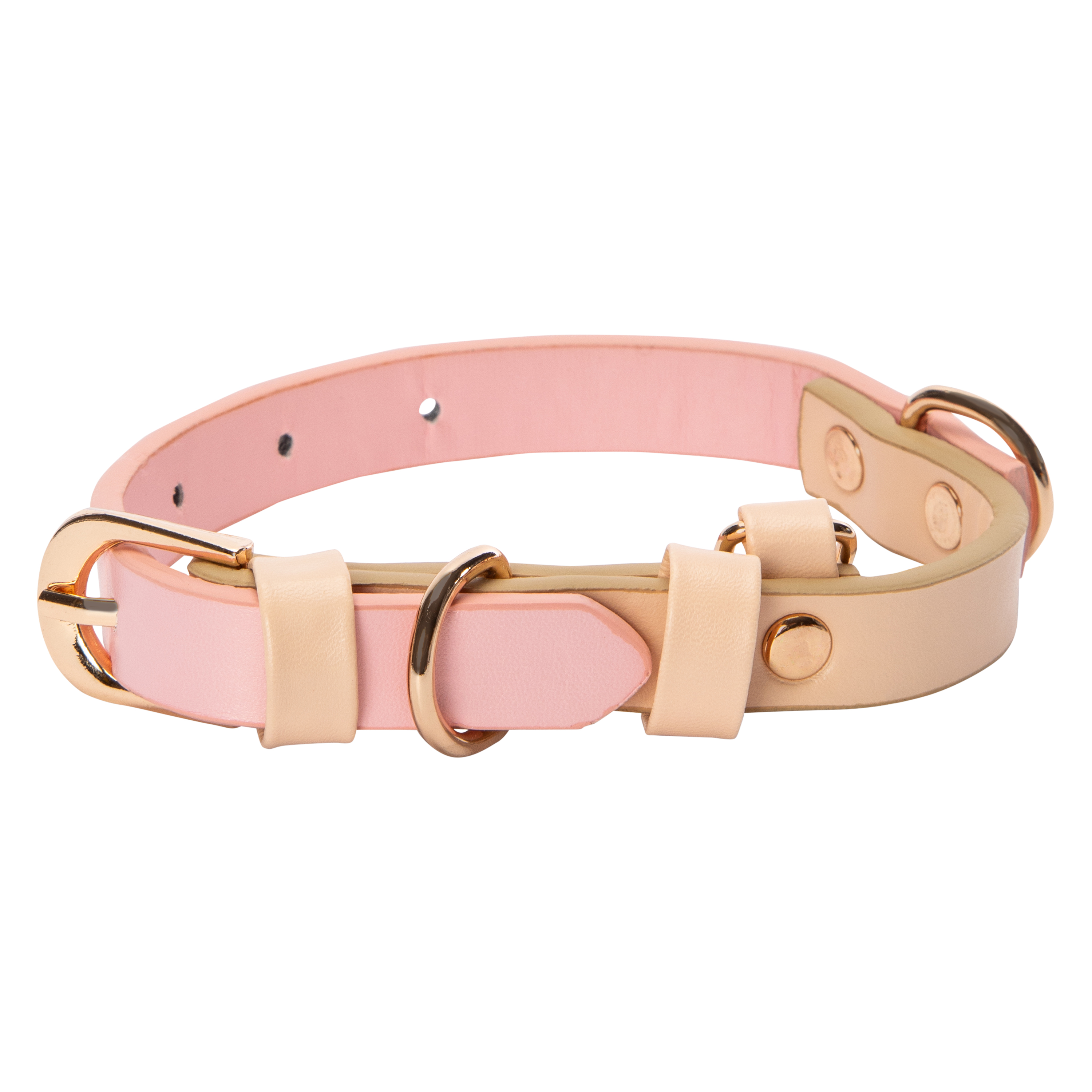 Pawsitively Fun! 2-Tone Pet Collar