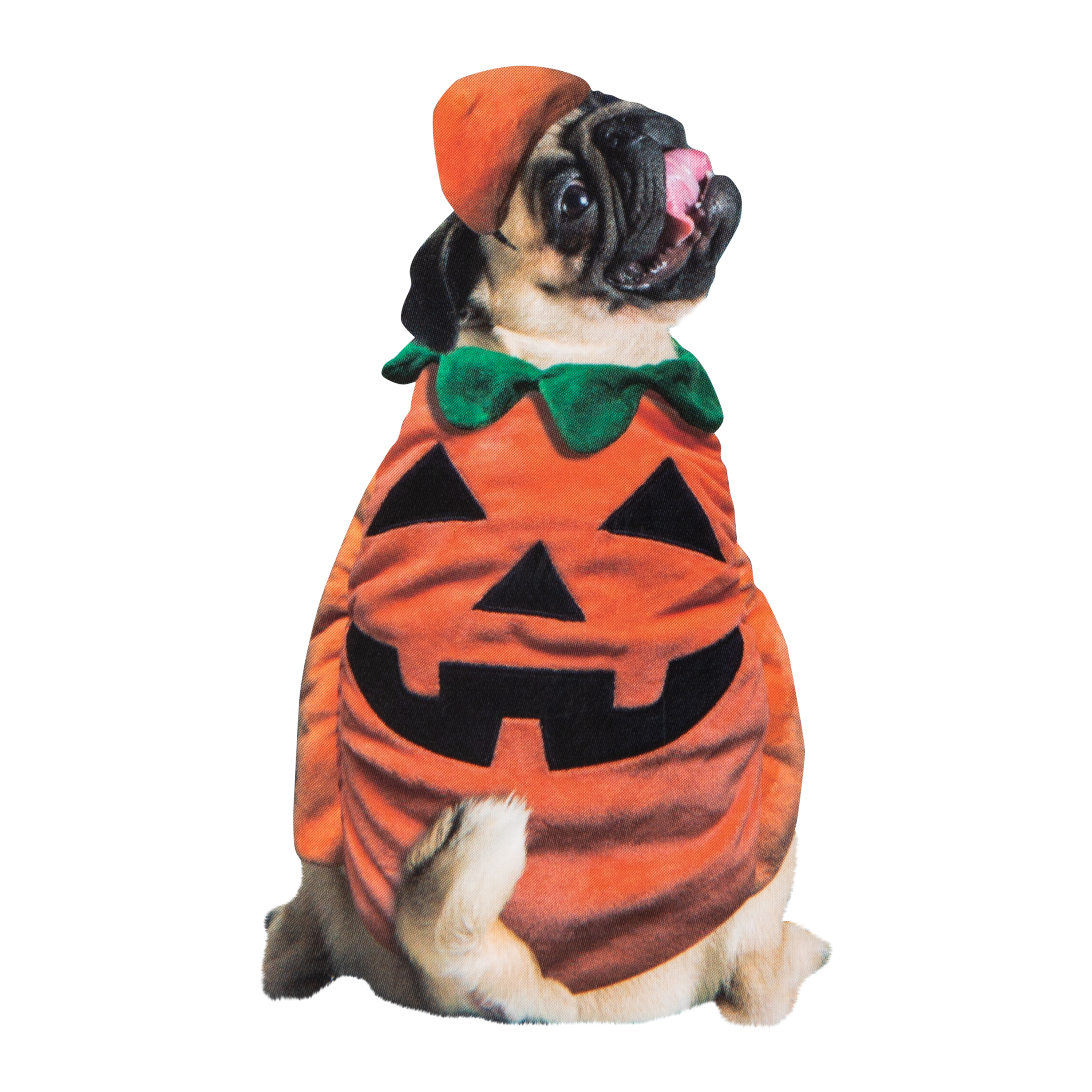 Funny Plush 3D Halloween Pet Costume