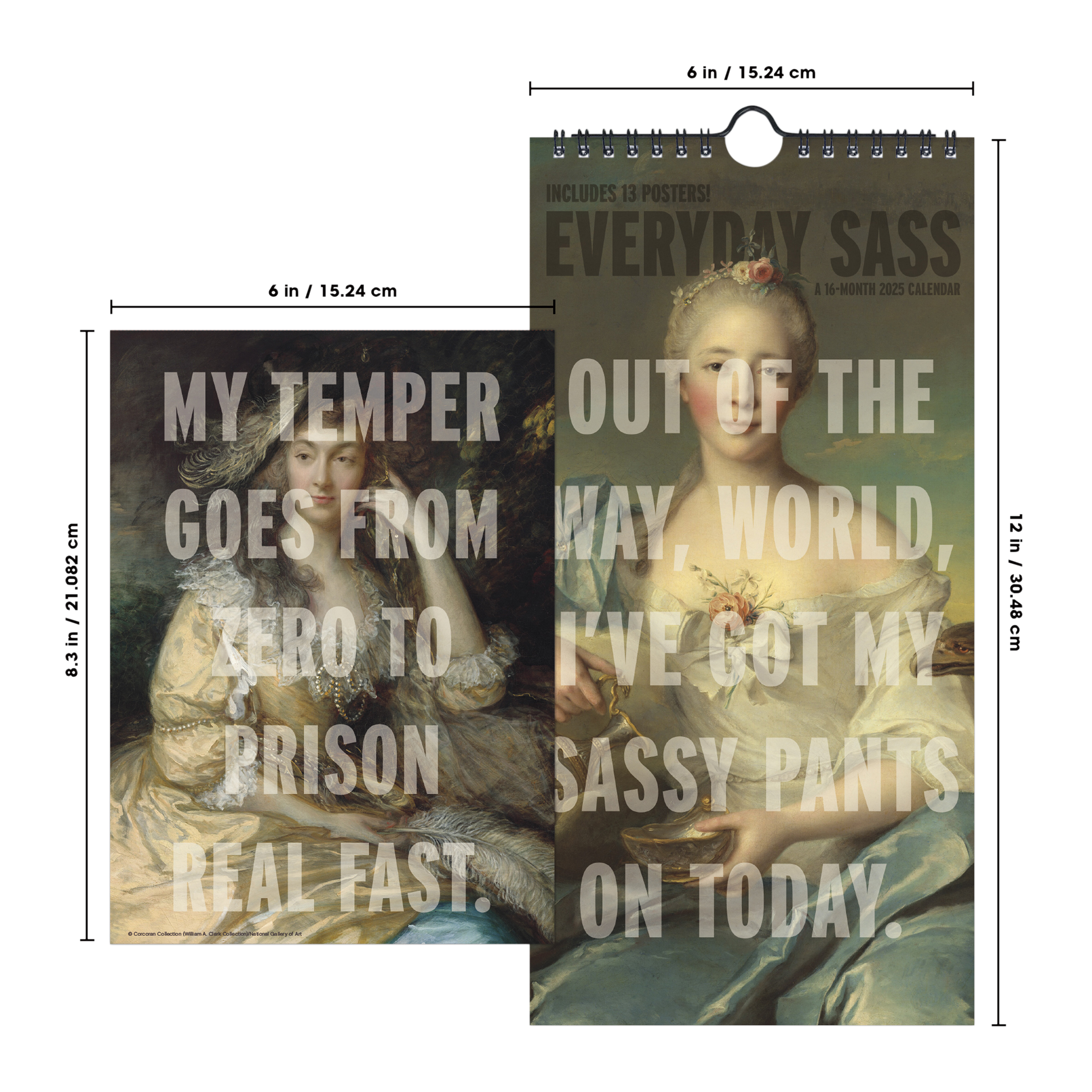 Trends 16-Month 2025 Calendar With Posters