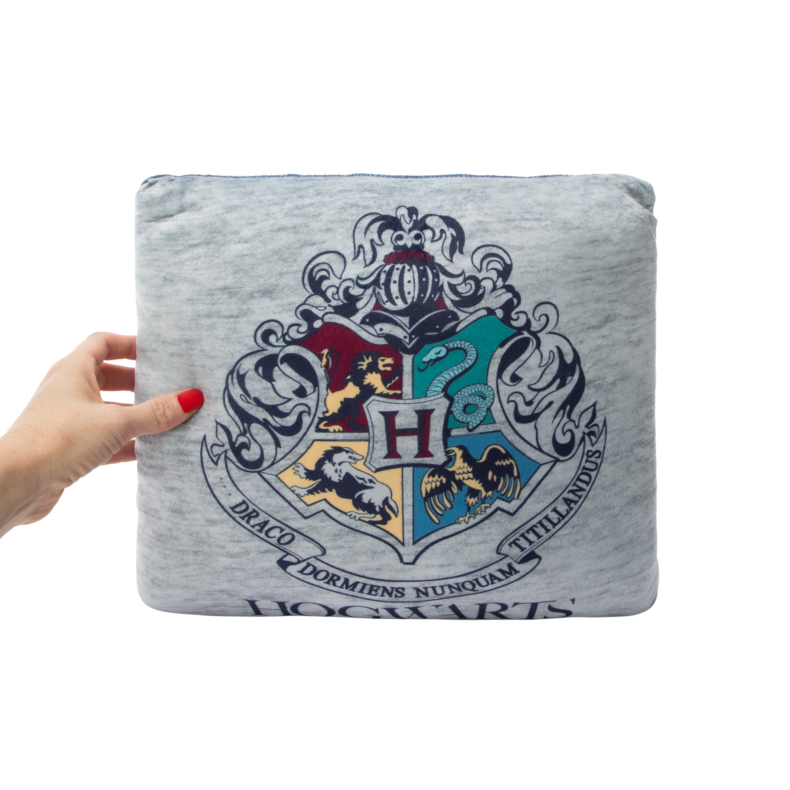 Harry Potter™ Hogwarts Collegiate Throw Pillow
