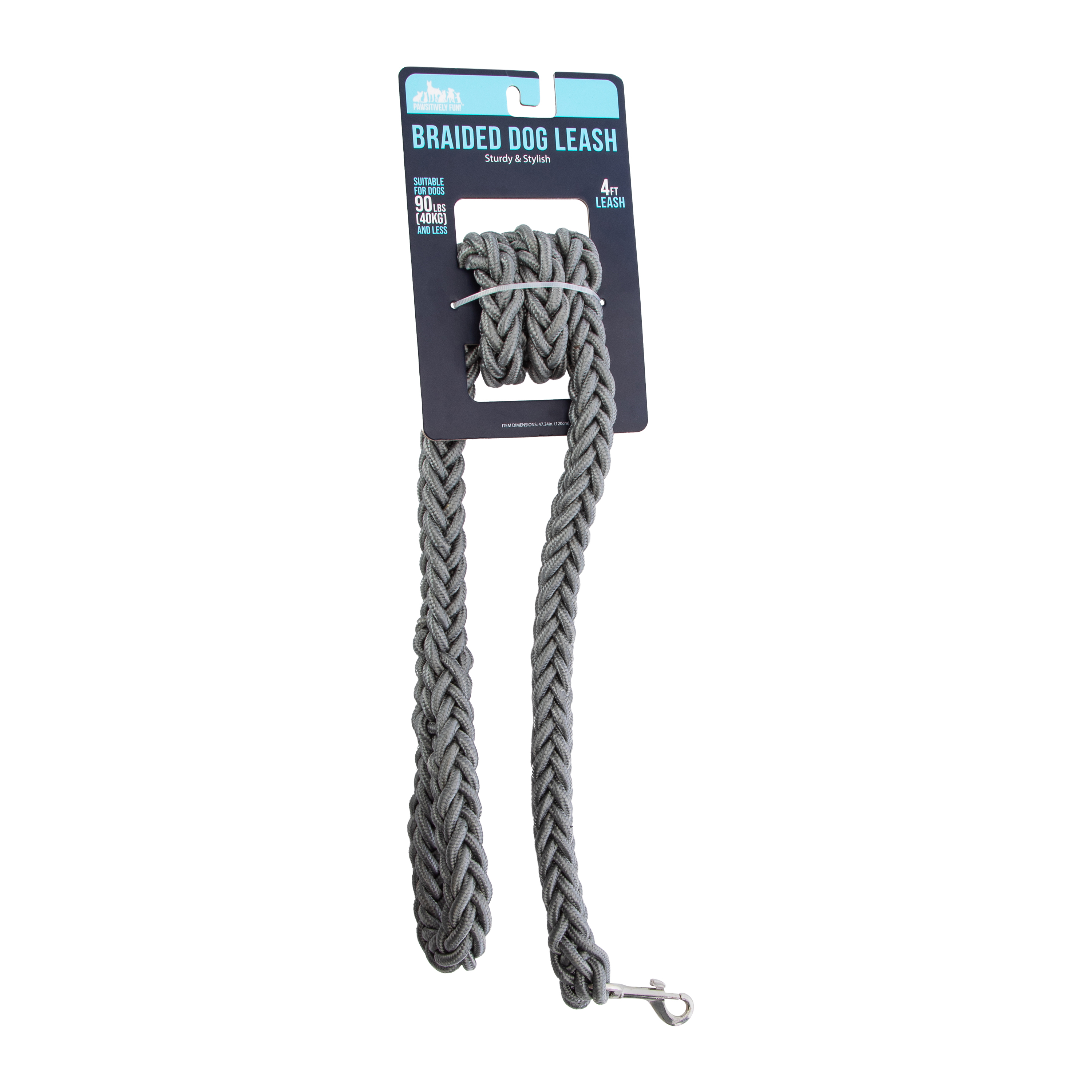 Pawsitively Fun! Braided Dog Leash