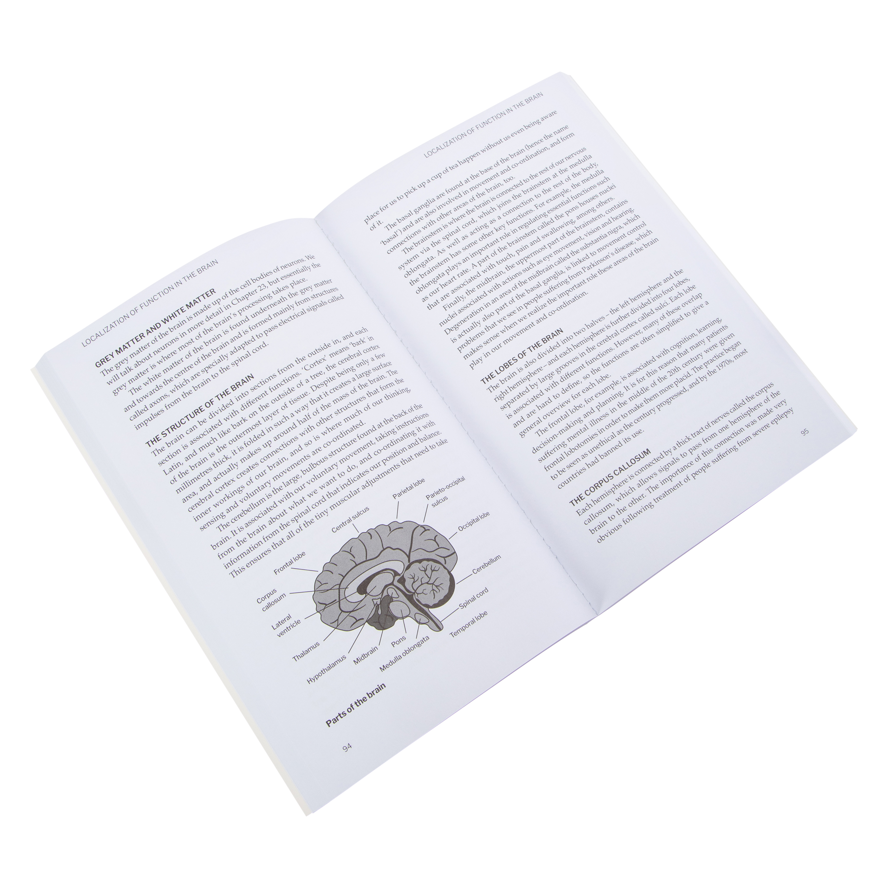 Psychology: 50 Key Ideas Unpacked