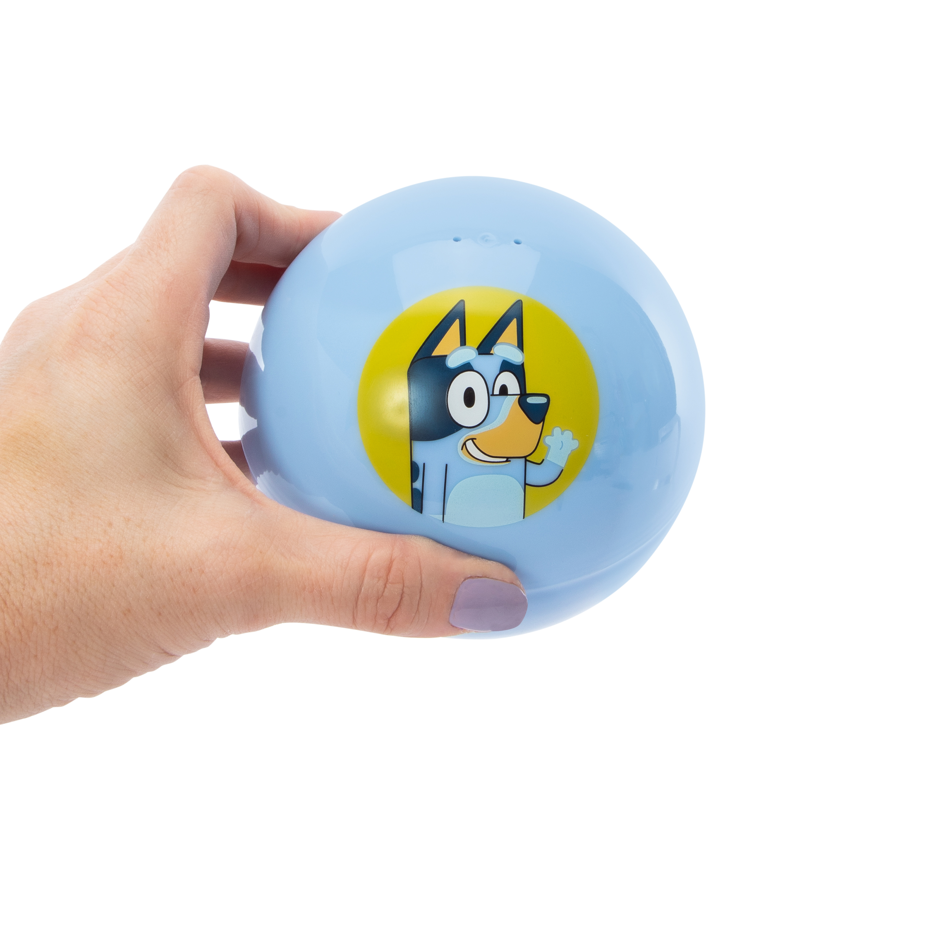 Bluey™ Mystery Puzzle 24-Peices