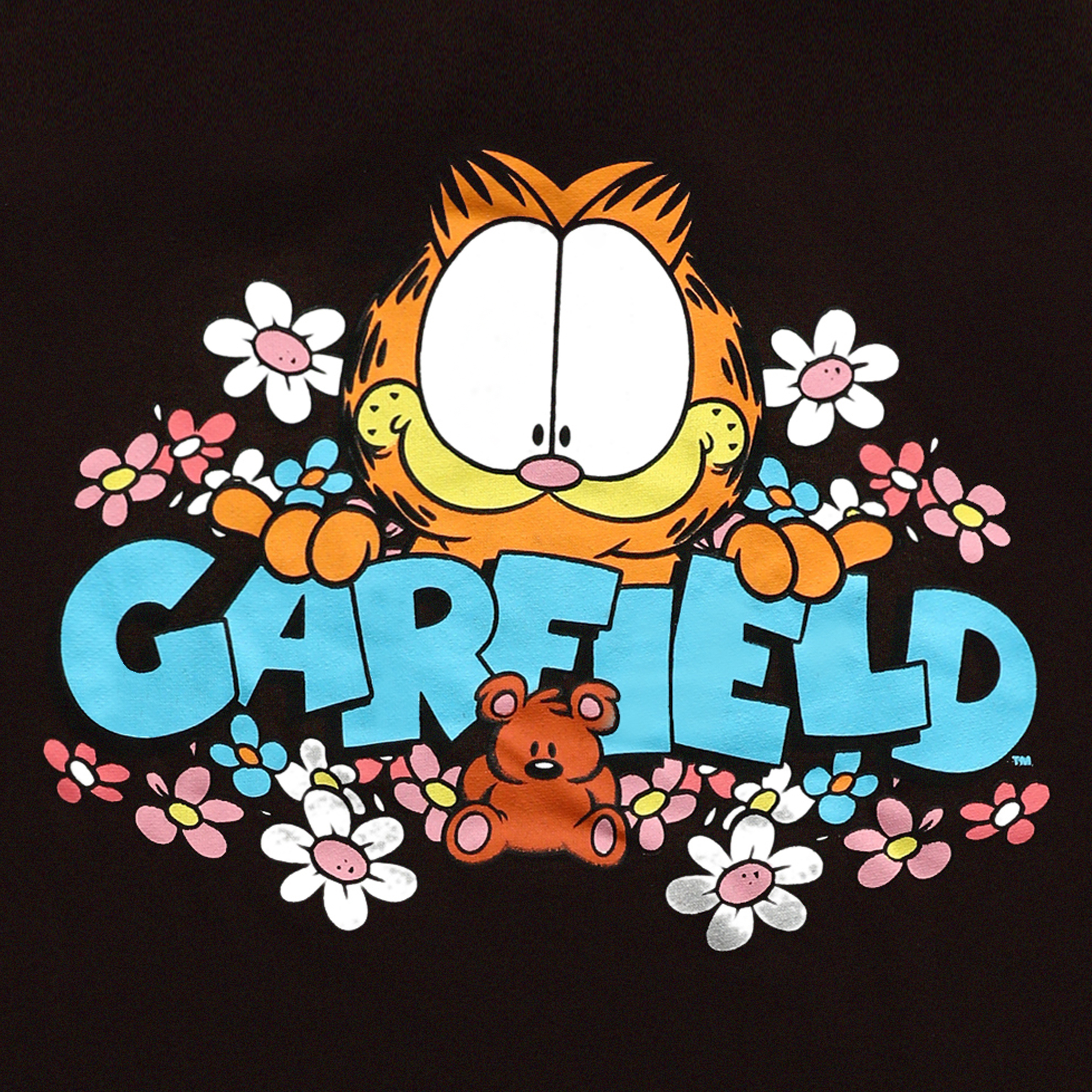 Young Mens Garfield™ Flowers & Pooky Hoodie