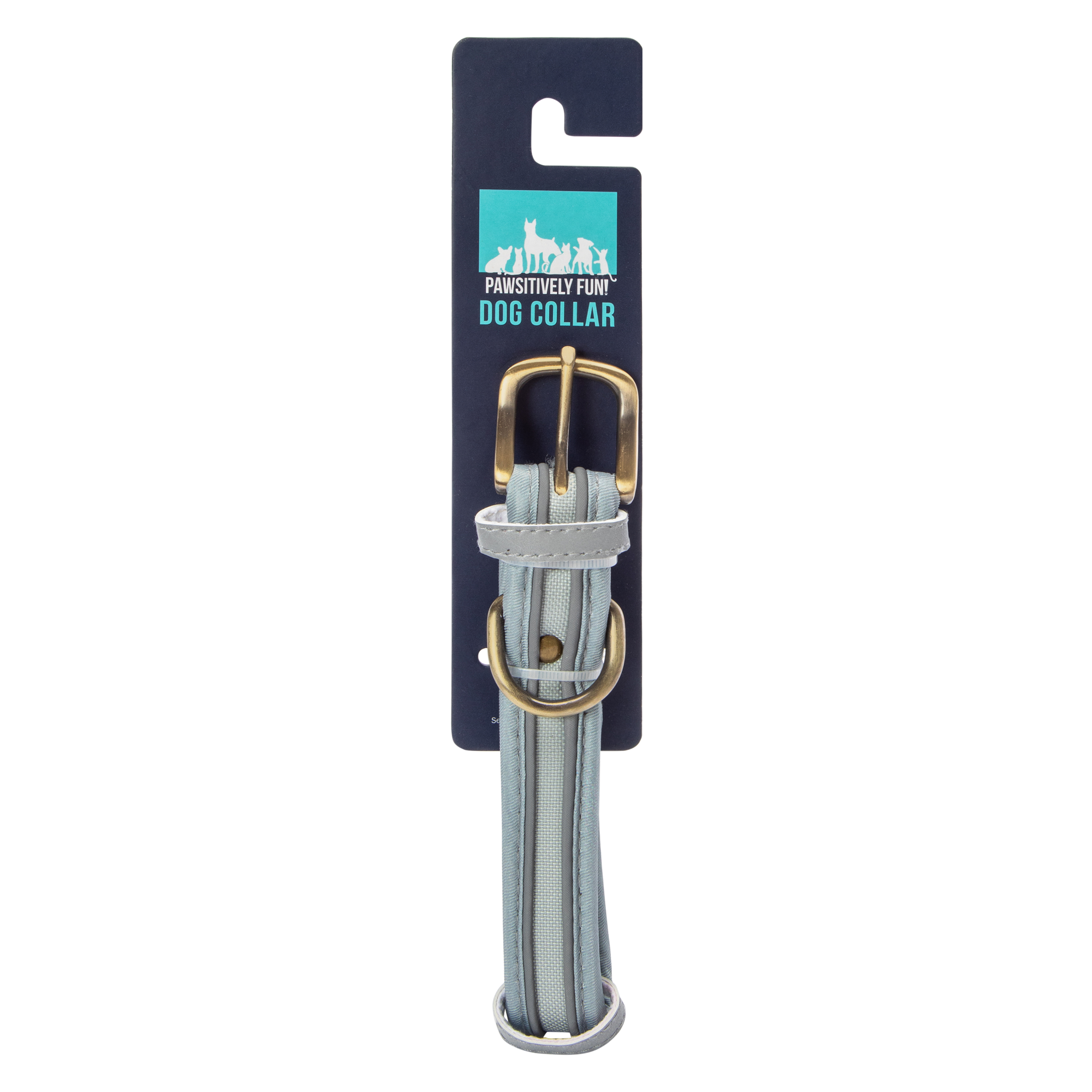 Pawsitively Fun! Dog Collar