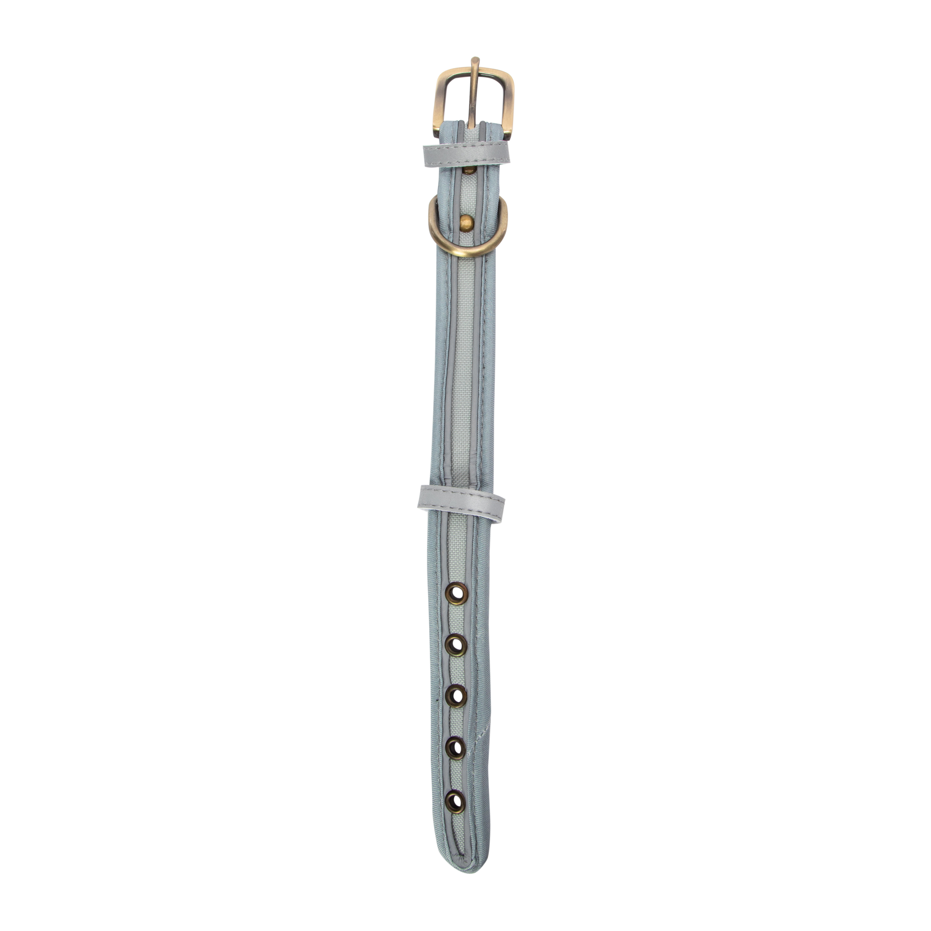 Pawsitively Fun! Dog Collar