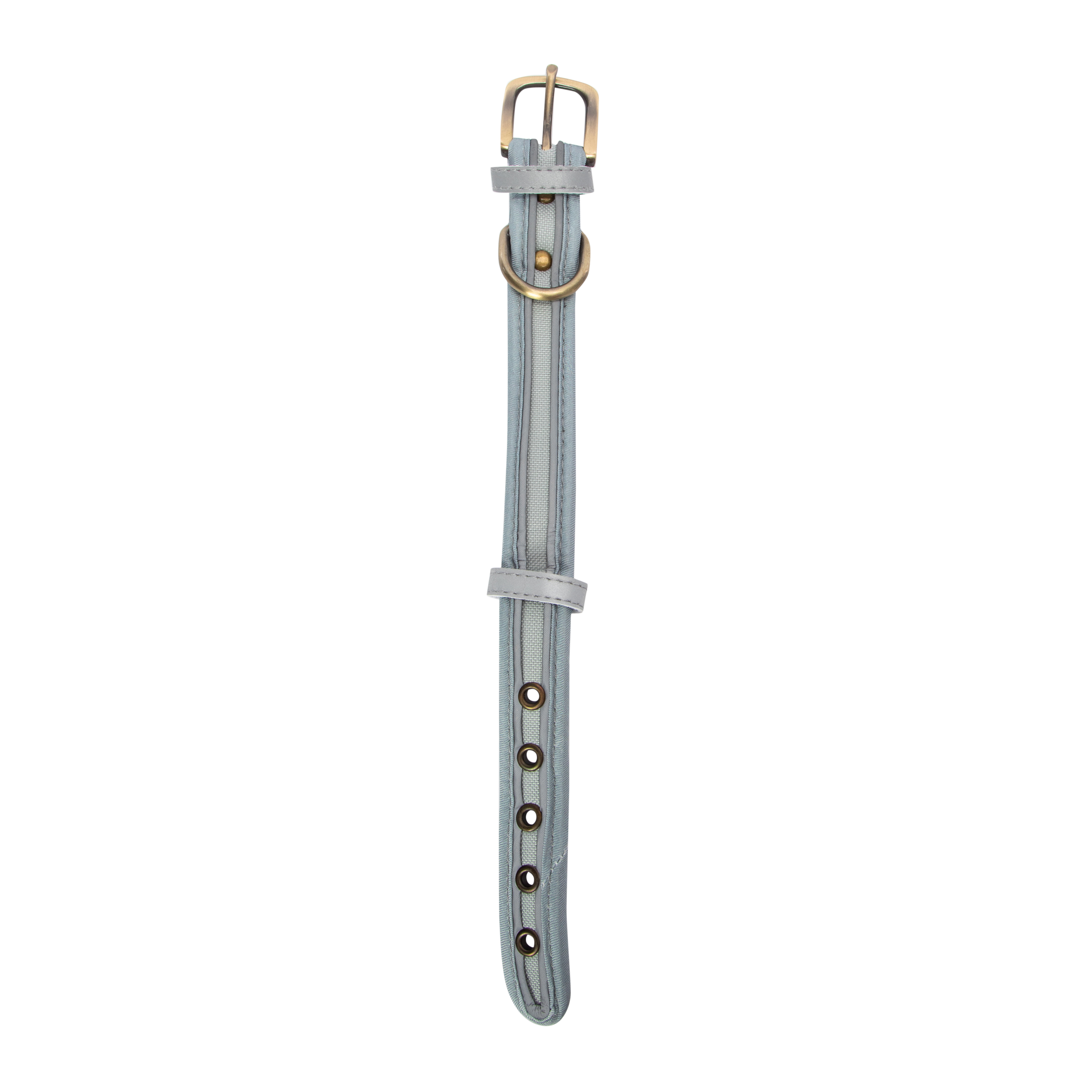 Pawsitively Fun! Dog Collar