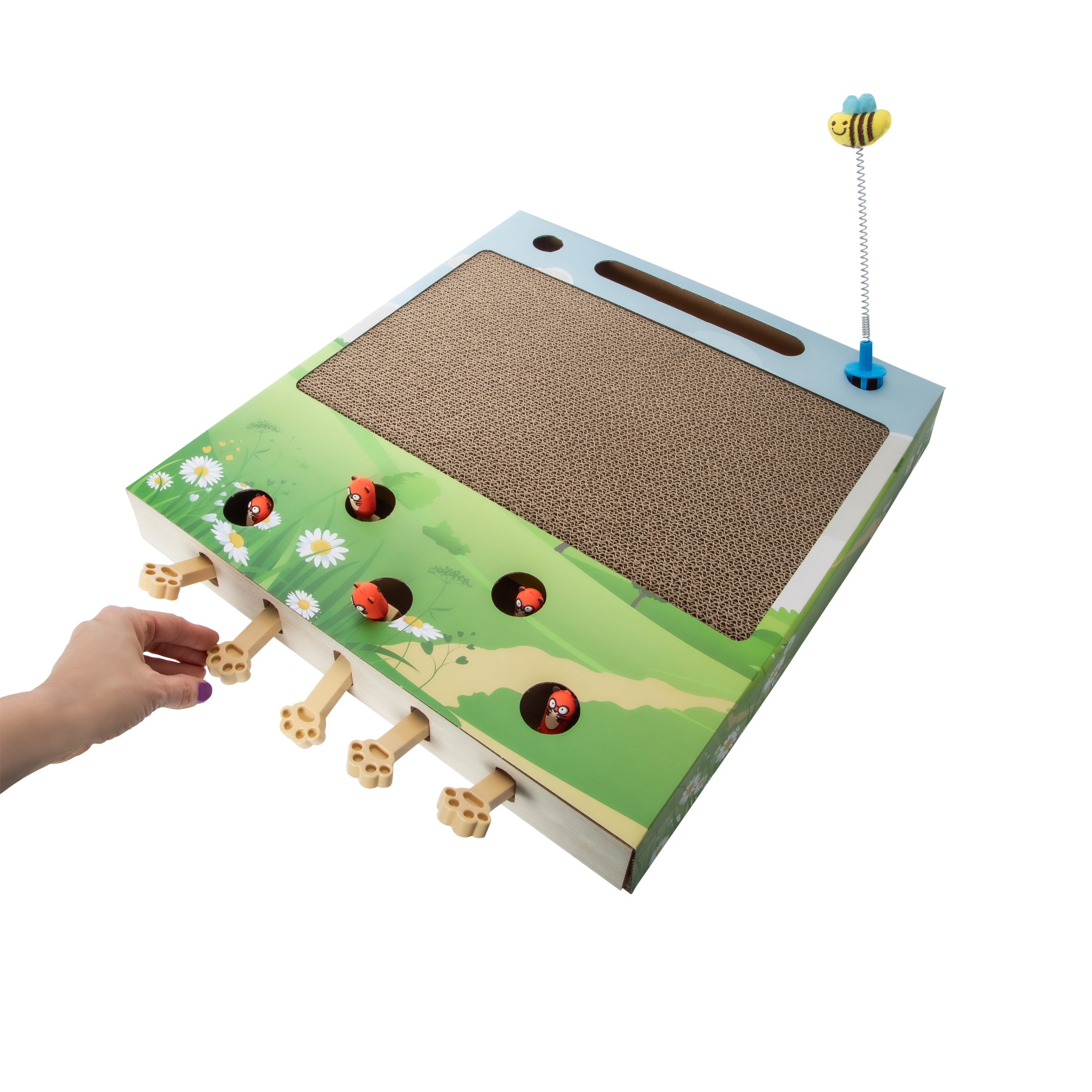 Hide And Seek Scratcher Pet Toy