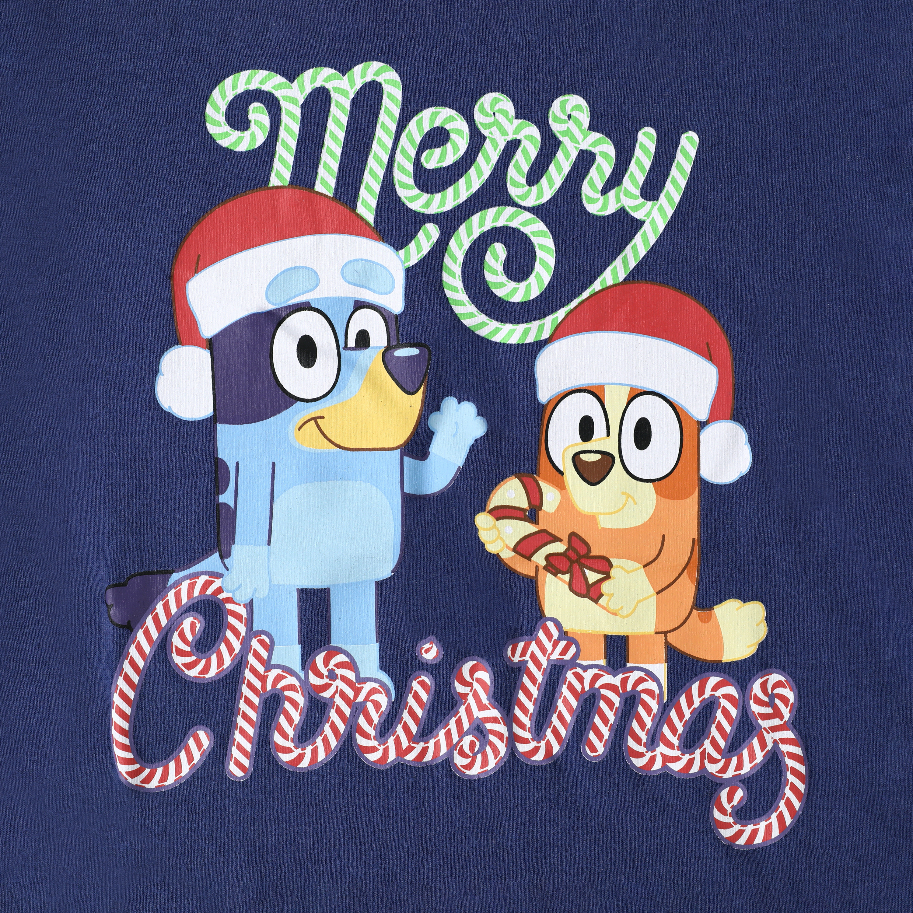 Bluey™ Merry Christmas Kids Graphic Tee
