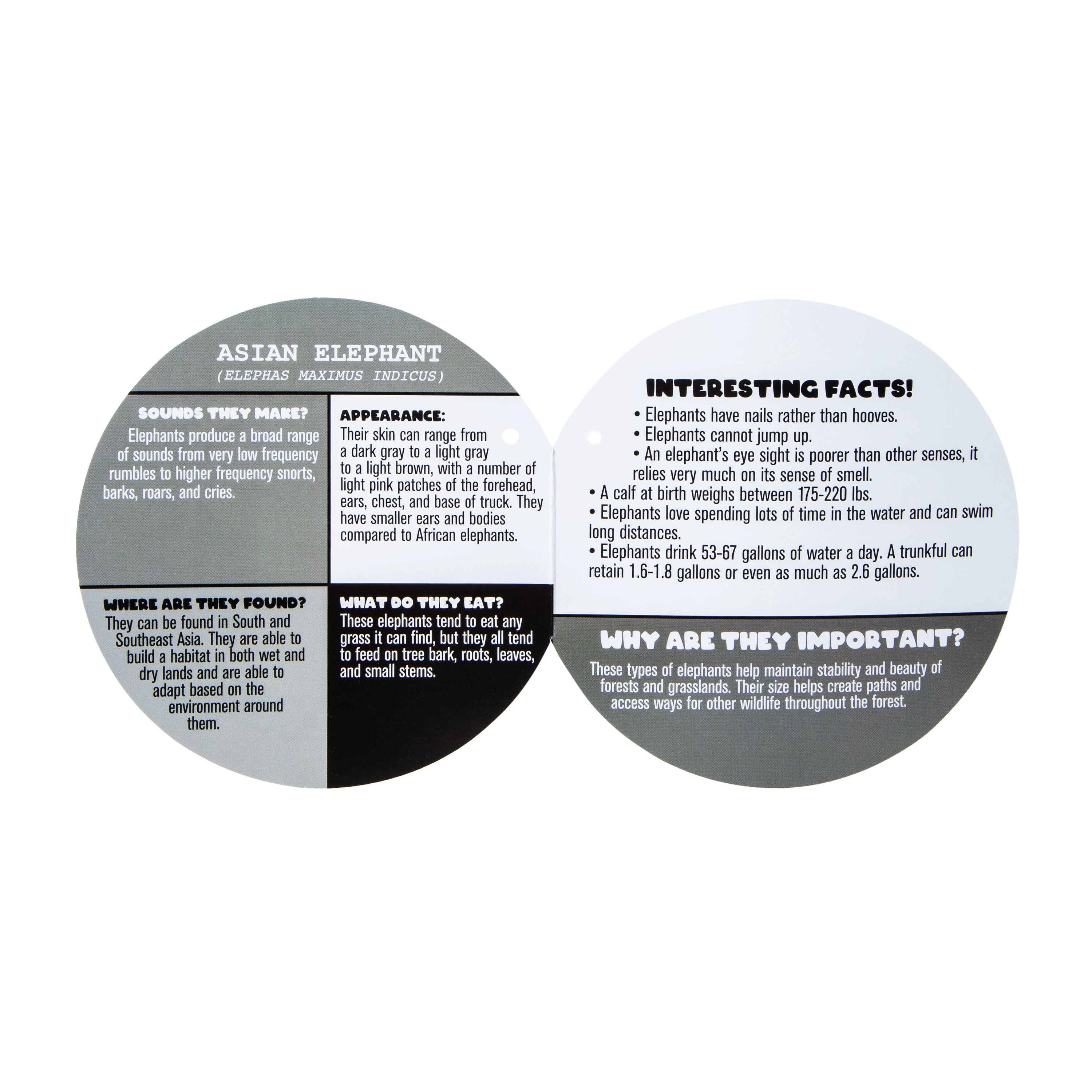 Ploofs™ Wilderness Biome Plush