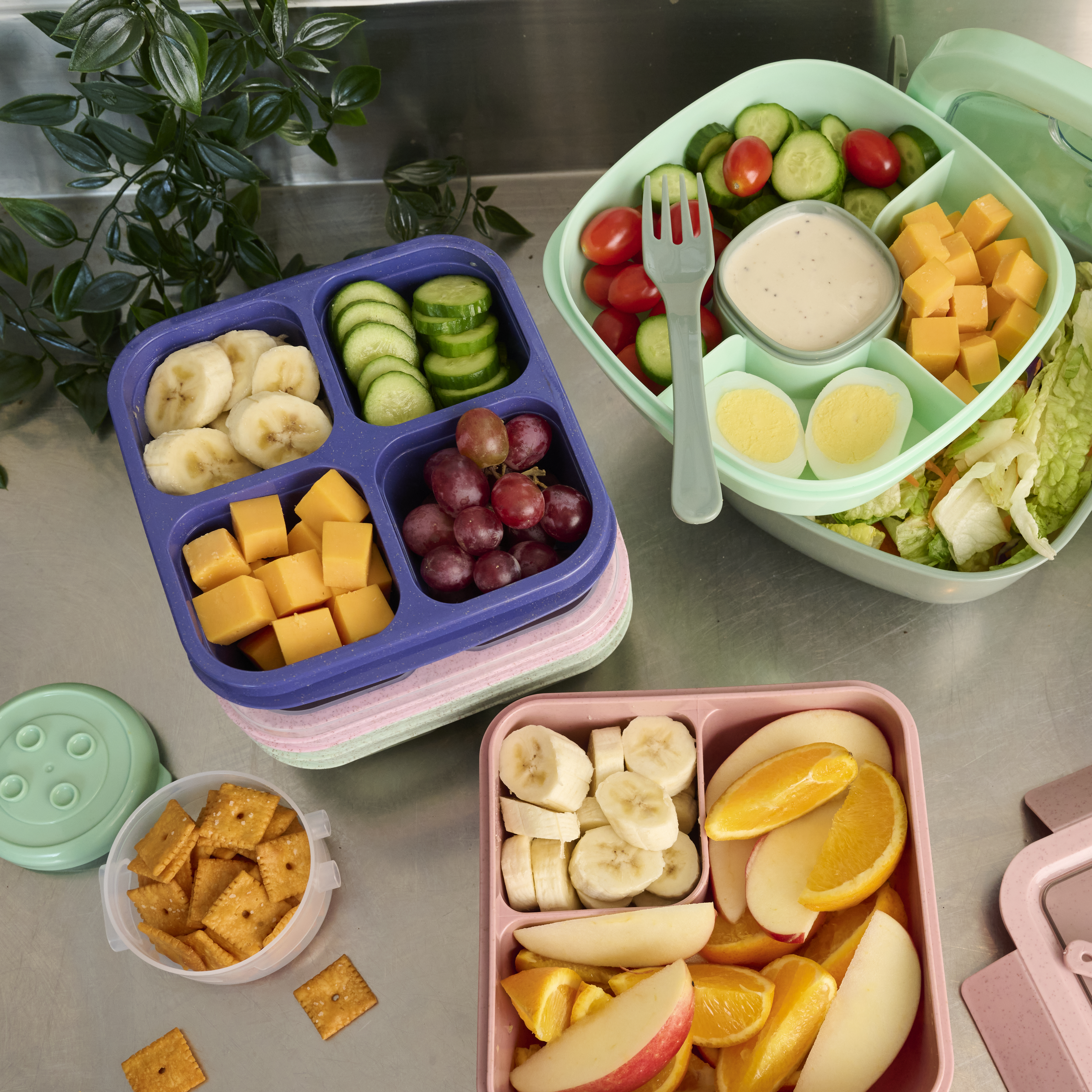 Deluxe Salad Container