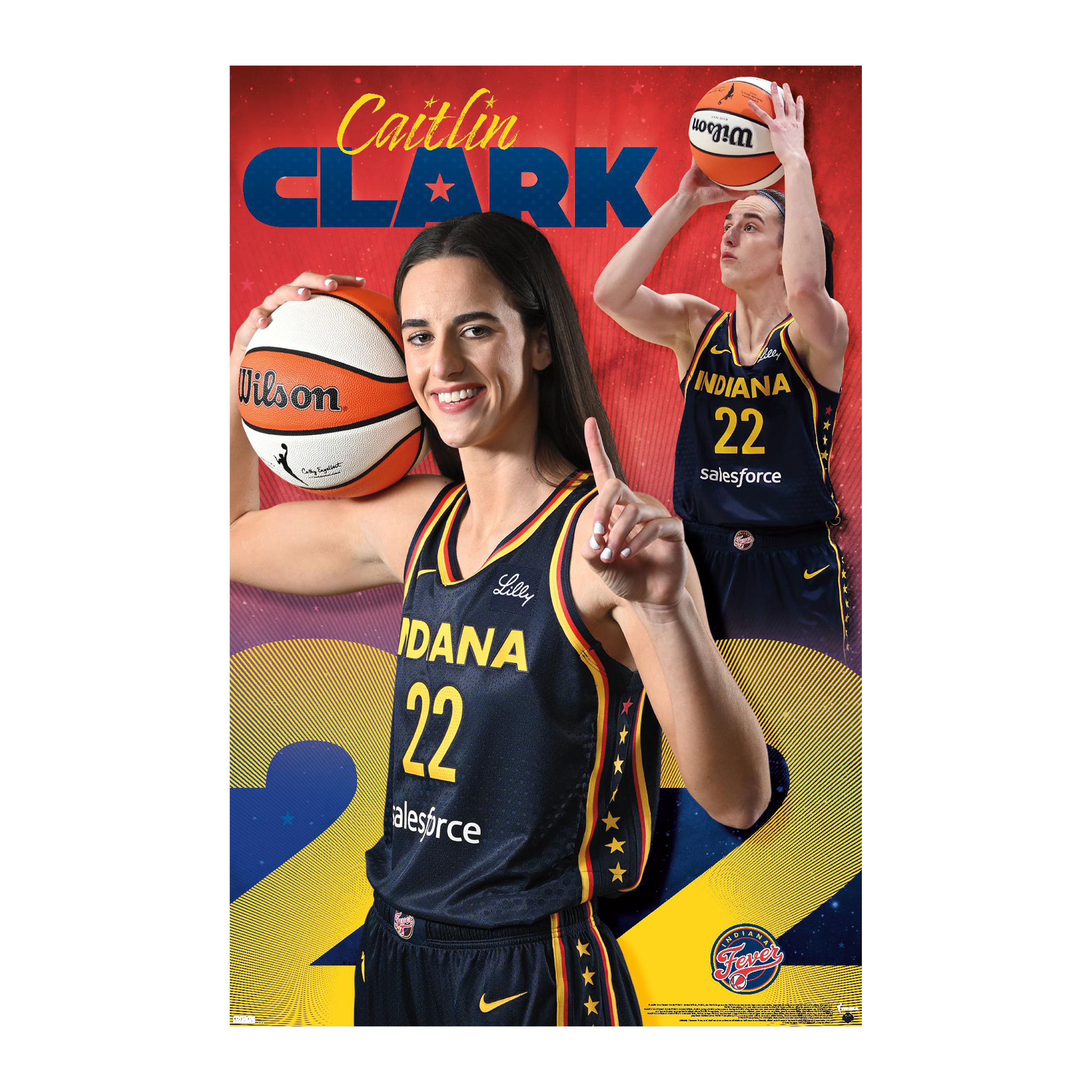 WNBA Indiana Fever Poster 22.37in x 34in