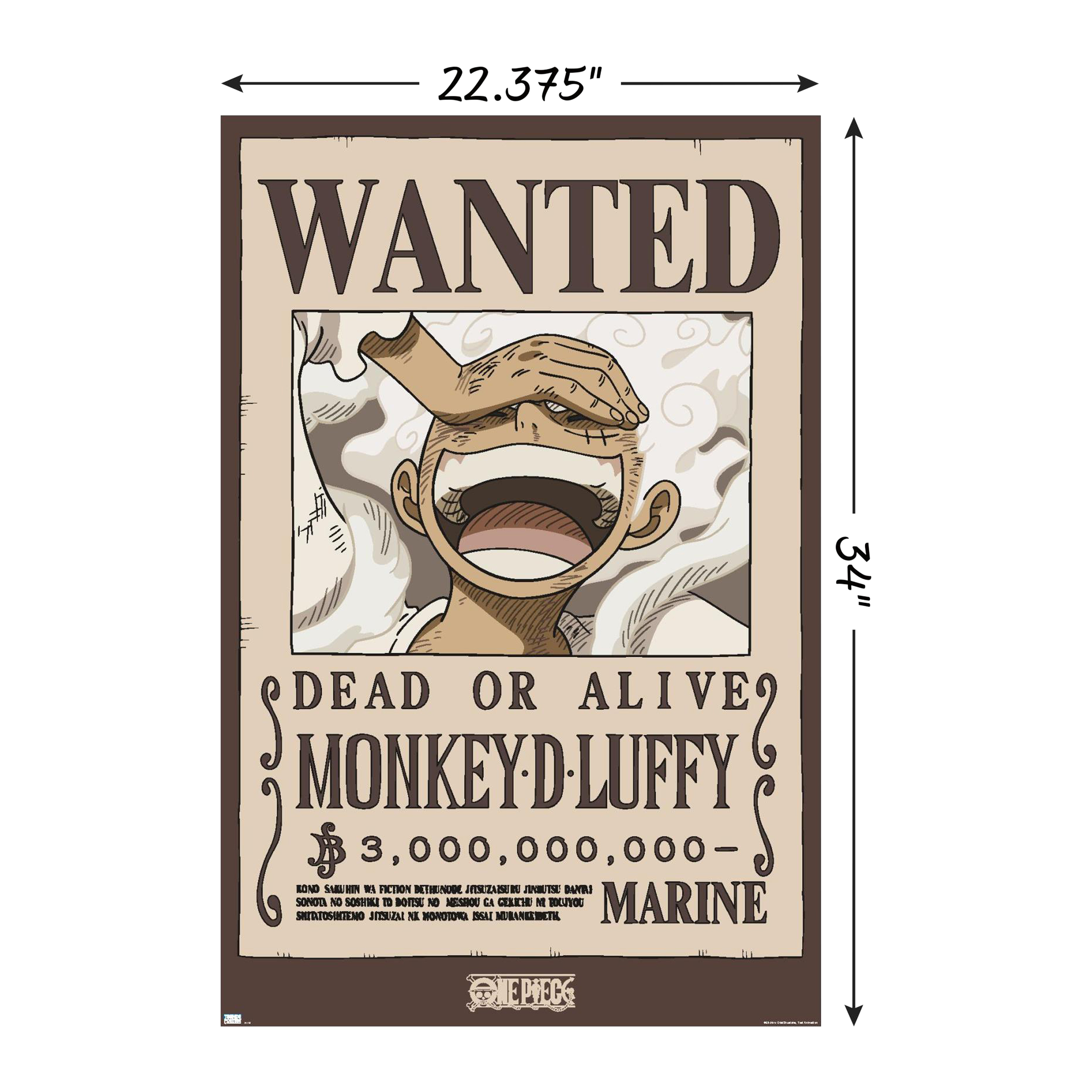 Iconic Wall Art Poster 22.3in x 34in