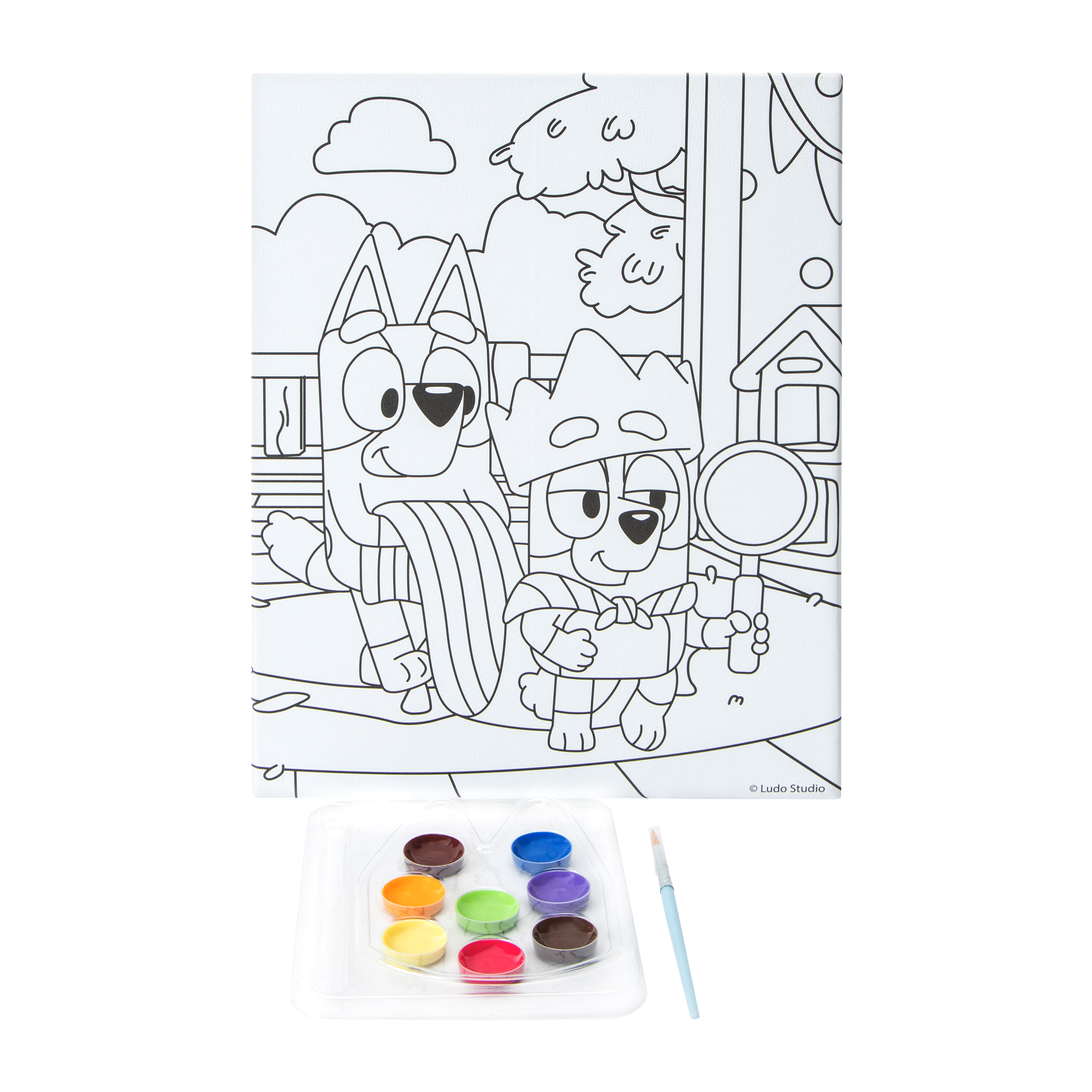 Bluey™ Paint Your Own Wall Art Set