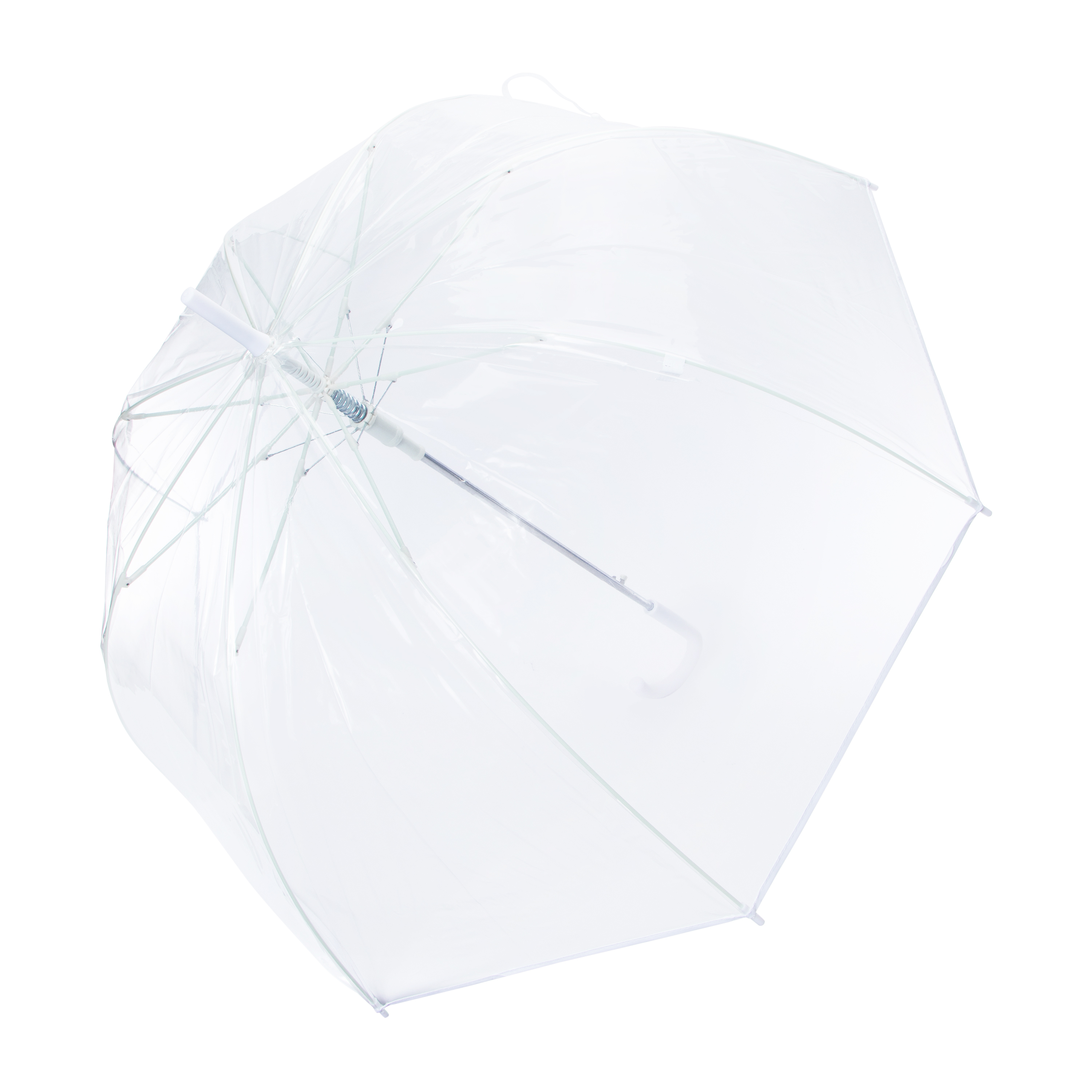 The Weather Station® Clear Umbrella