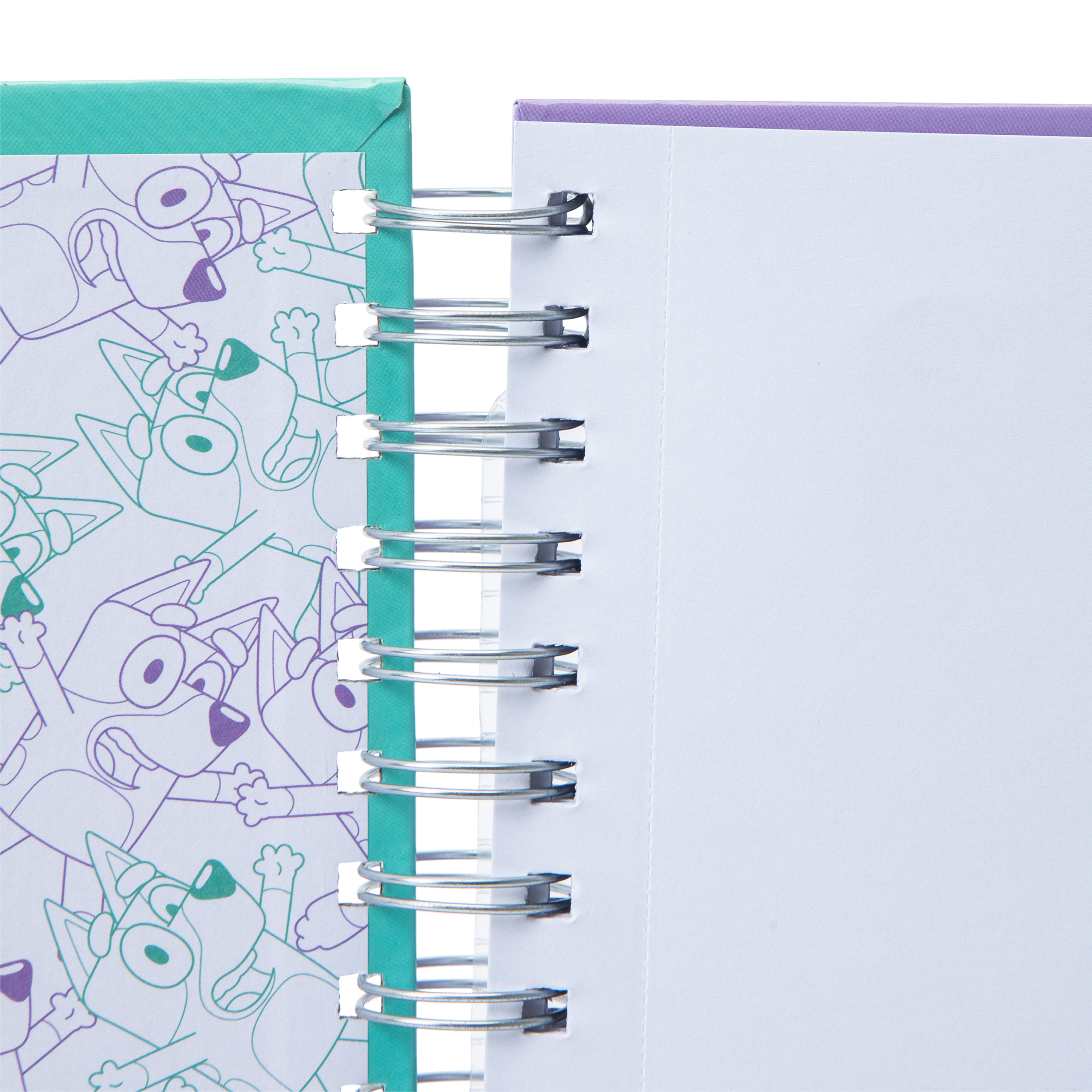 Bluey Sketchbook Set